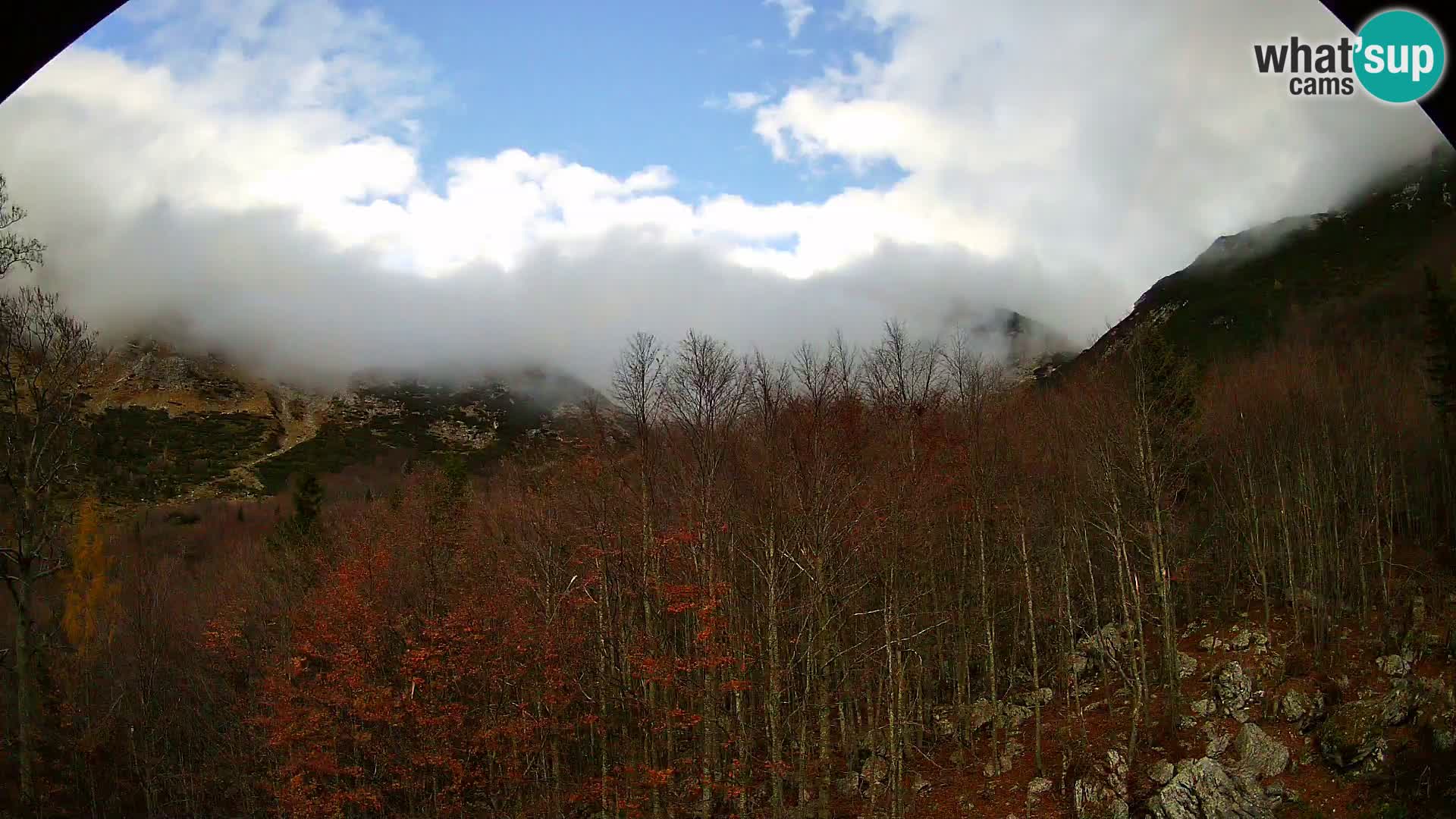 Webcam PLANINA RAZOR (1315) | Blick auf Vogel und Globoko