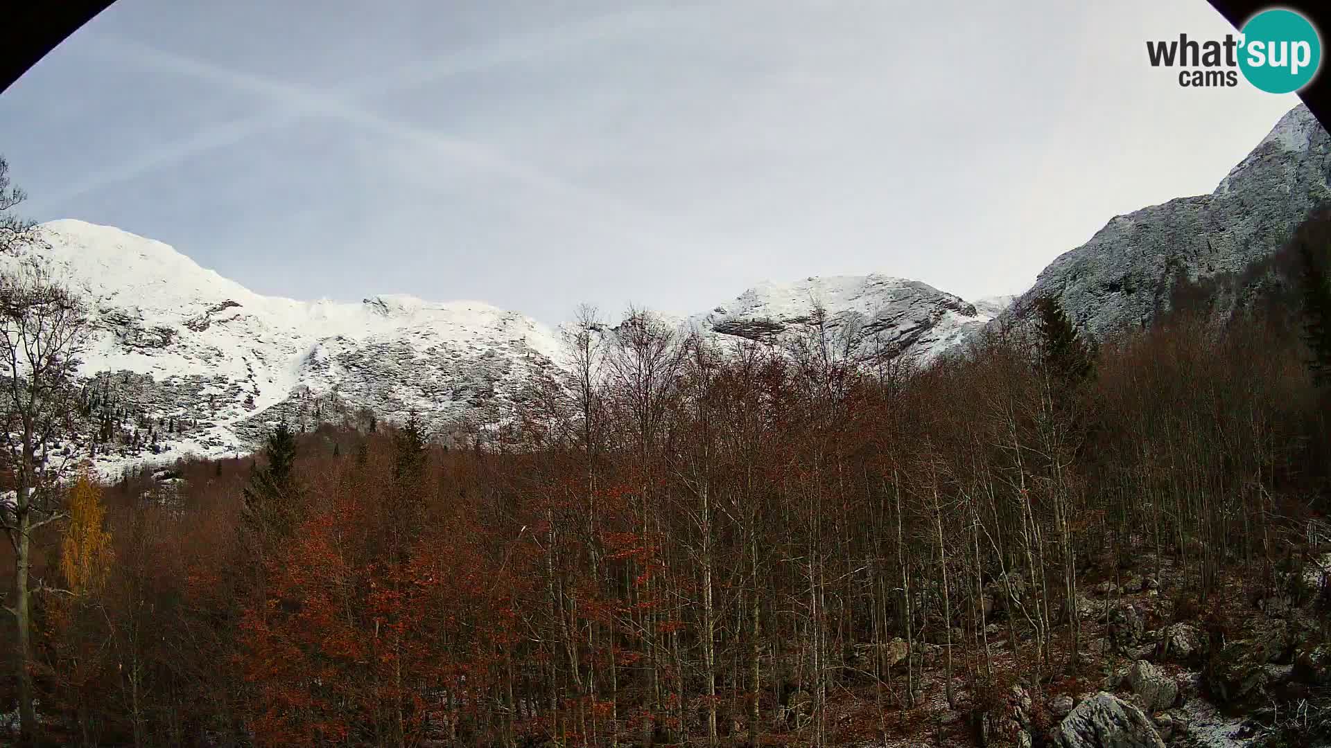 PLANINA RAZOR webcam (1315) | view to Vogel and Globoko