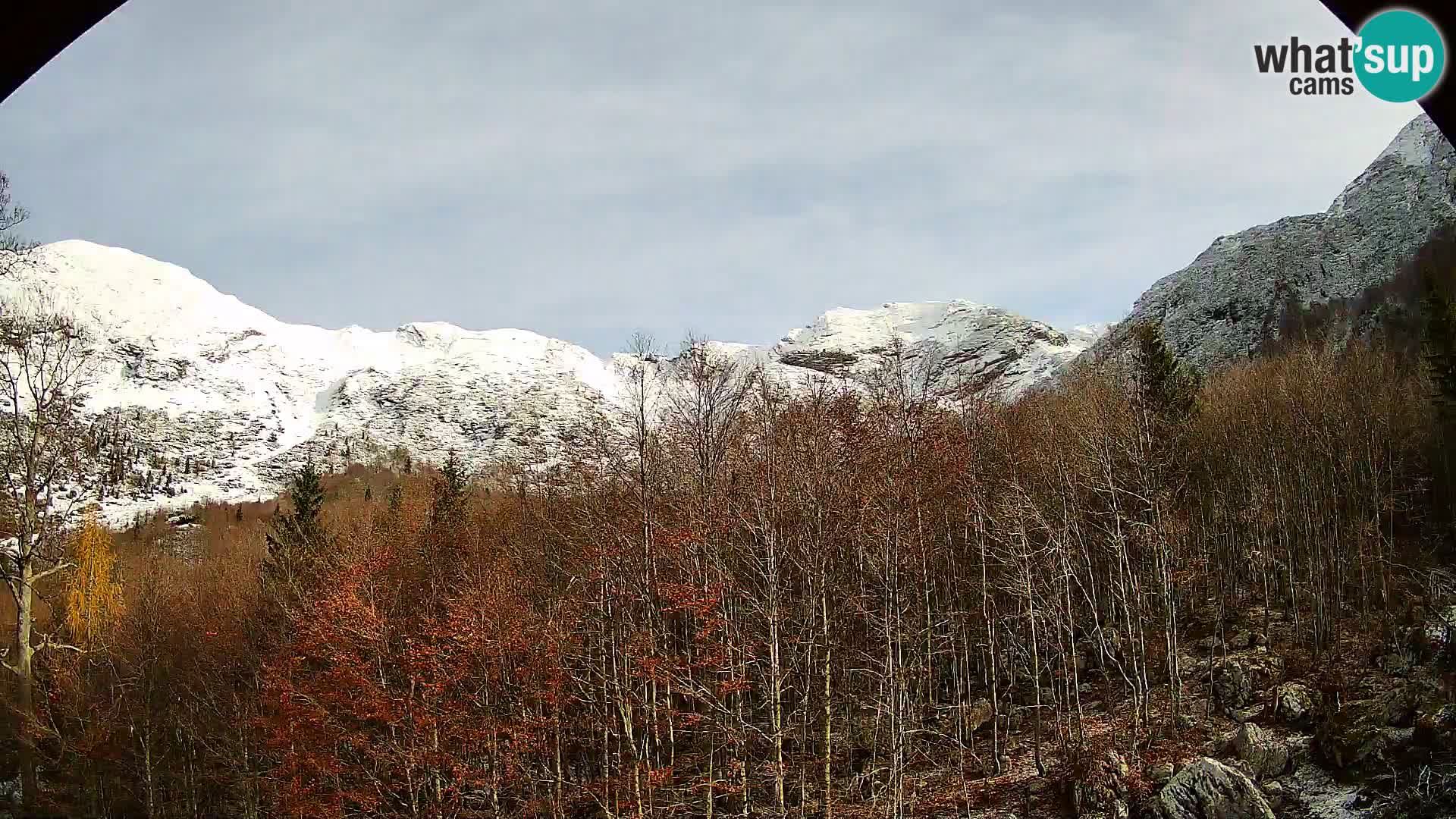 Webcam PLANINA RAZOR (1315) | Blick auf Vogel und Globoko