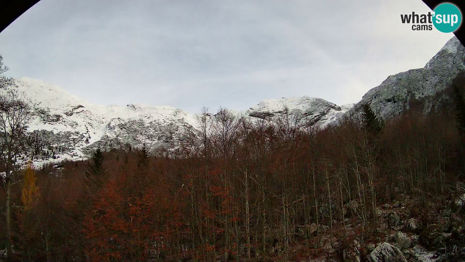 PLANINA RAZOR webcam (1315) | view to Vogel and Globoko