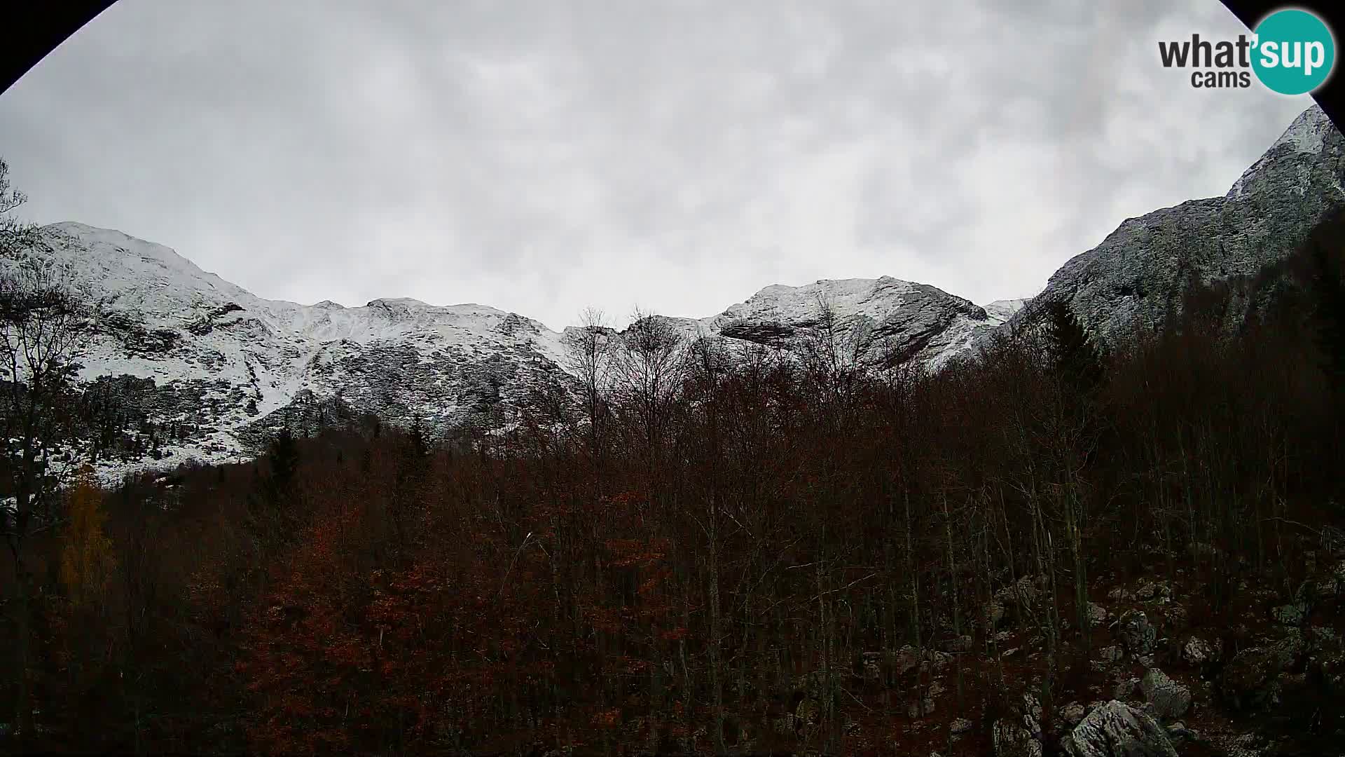 PLANINA RAZOR kamera (1315) | pogled na Vogel in Globoko