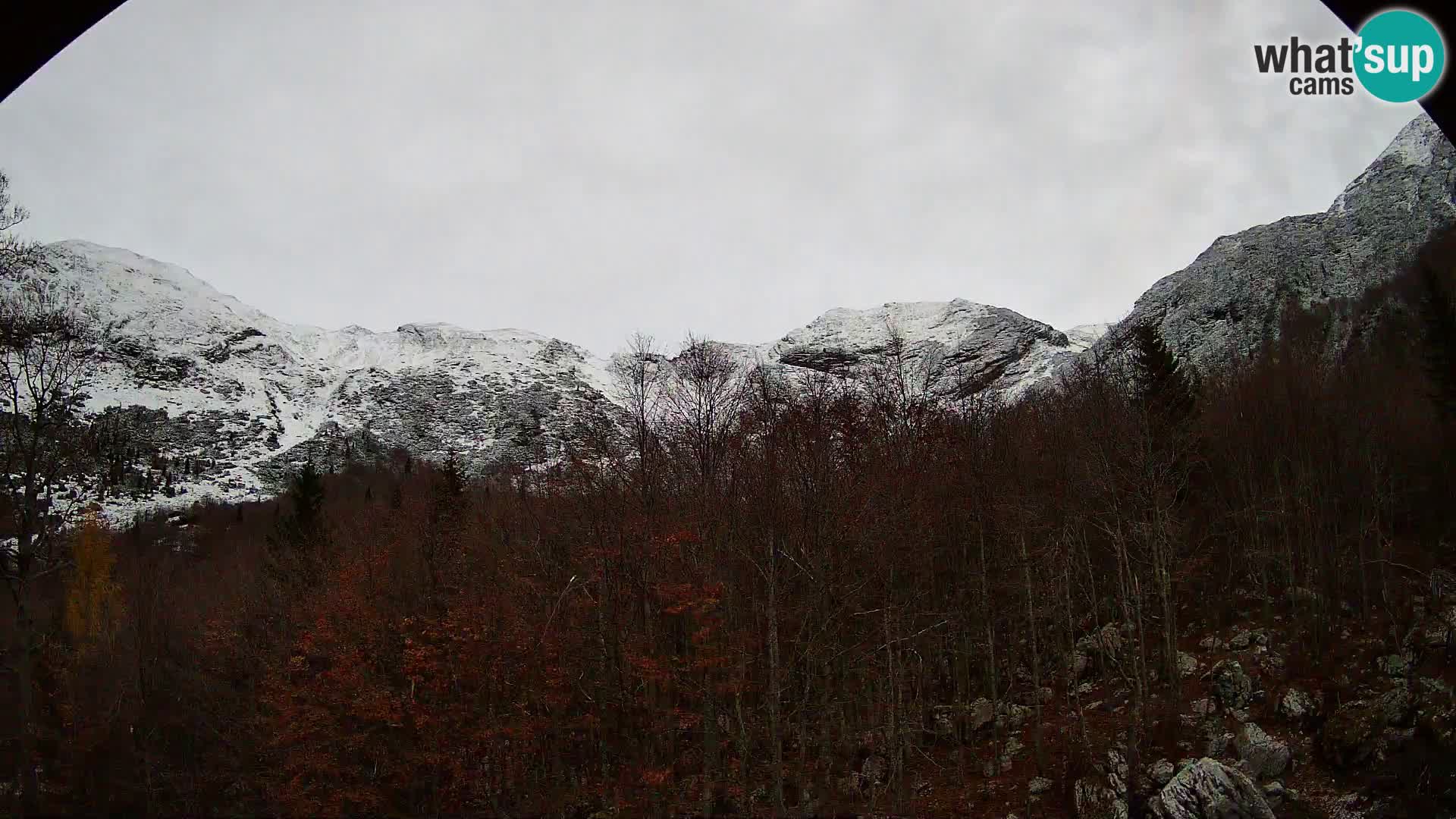 Webcam PLANINA RAZOR (1315) | Blick auf Vogel und Globoko