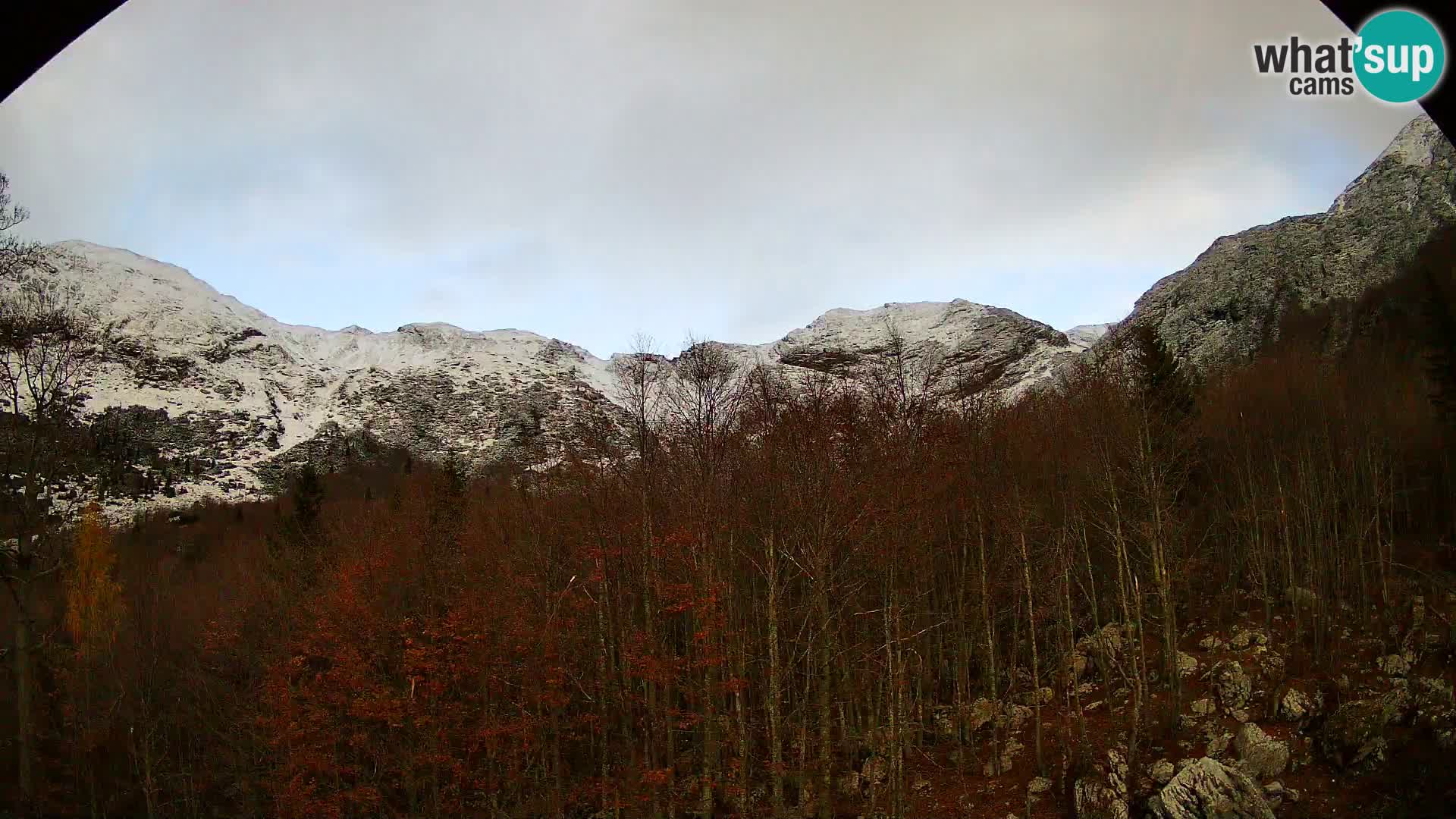 Webcam PLANINA RAZOR (1315) | Blick auf Vogel und Globoko