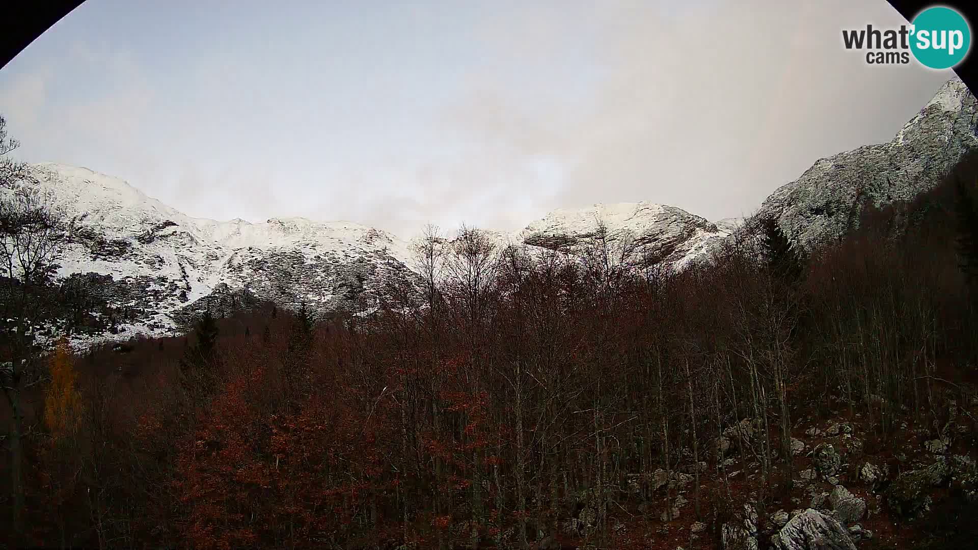 PLANINA RAZOR kamera (1315) | pogled na Vogel in Globoko