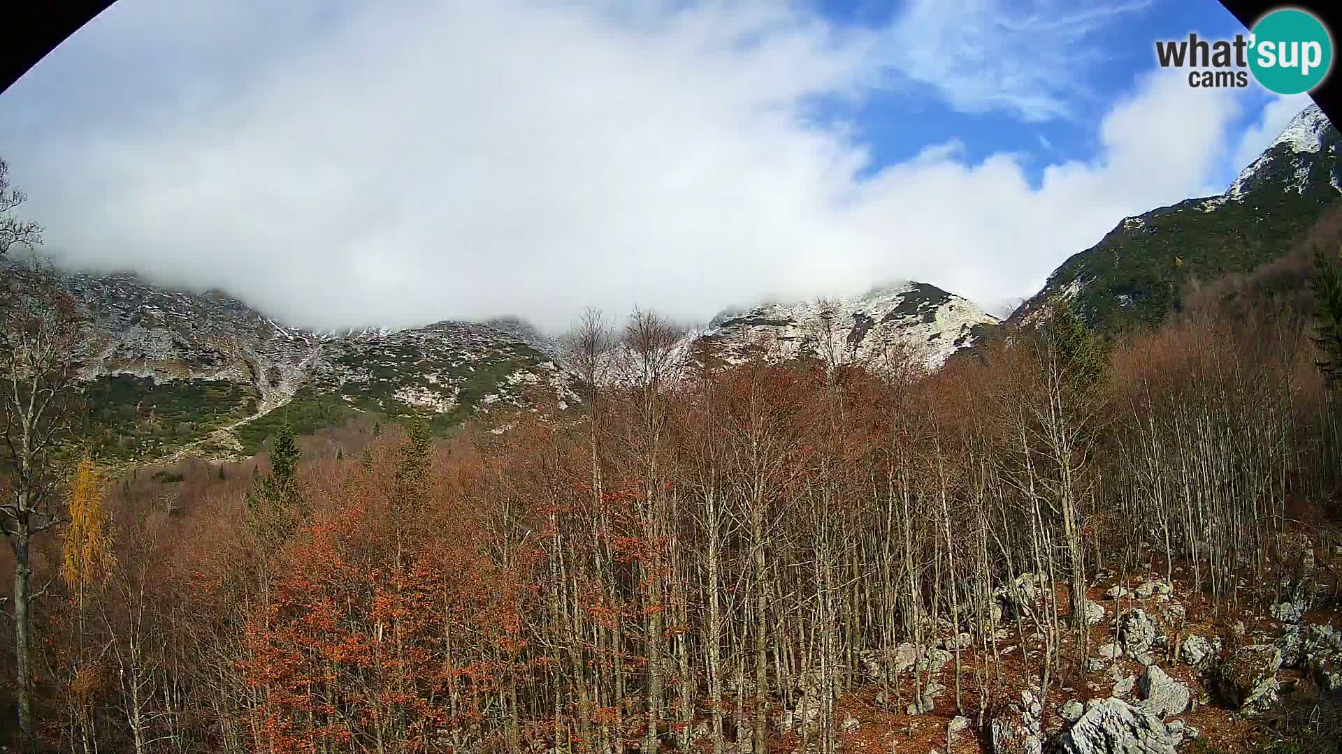 PLANINA RAZOR Live Cam (1315) | vista su Vogel e Globoko