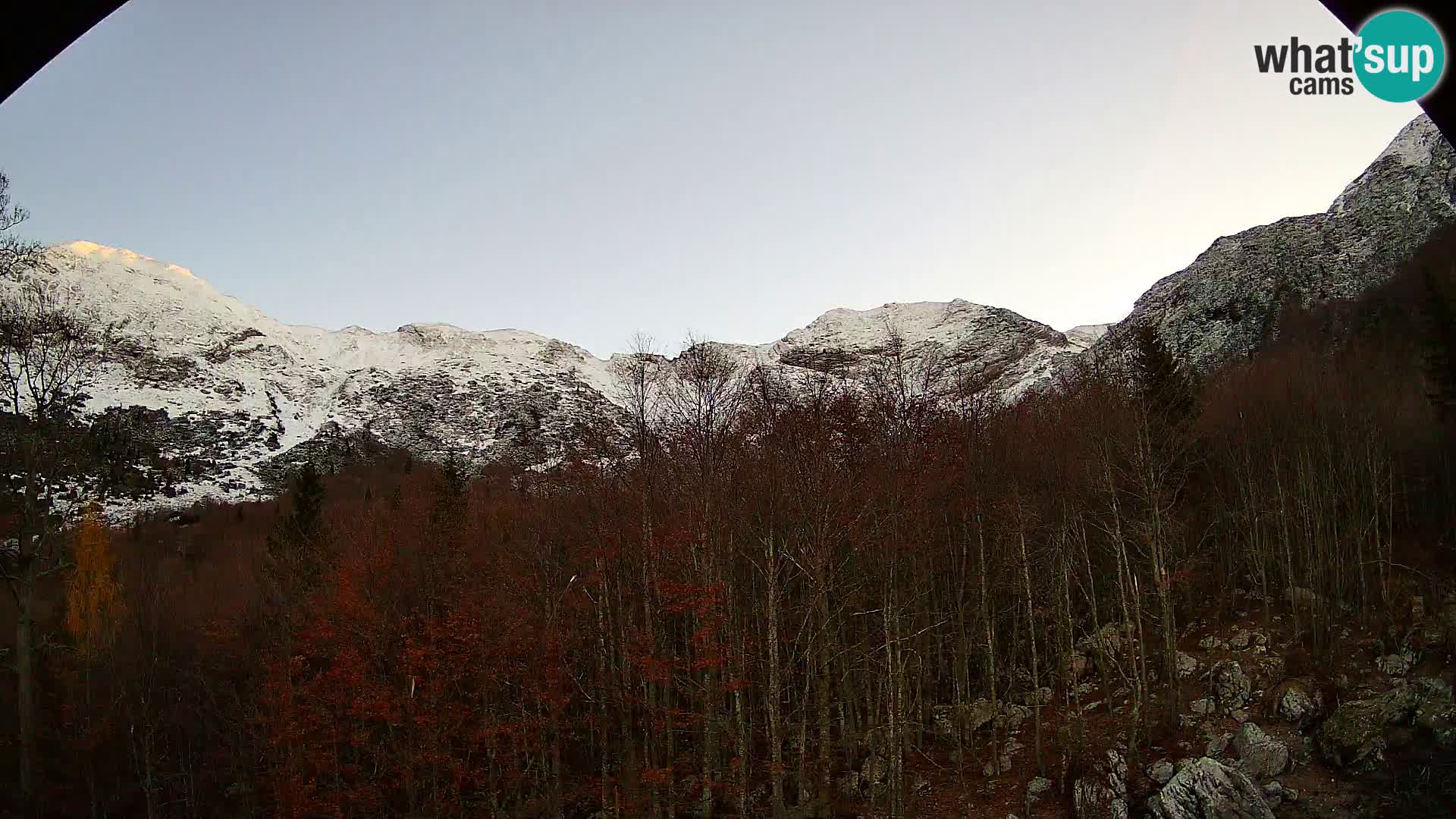 Livecam PLANINA RAZOR (1315) | vue sur Vogel et Globoko