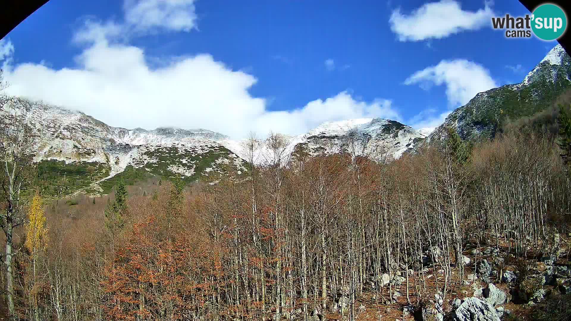 Livecam PLANINA RAZOR (1315) | vue sur Vogel et Globoko