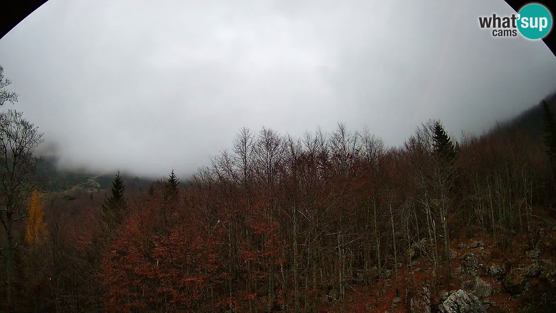 PLANINA RAZOR Live Cam (1315) | vista su Vogel e Globoko