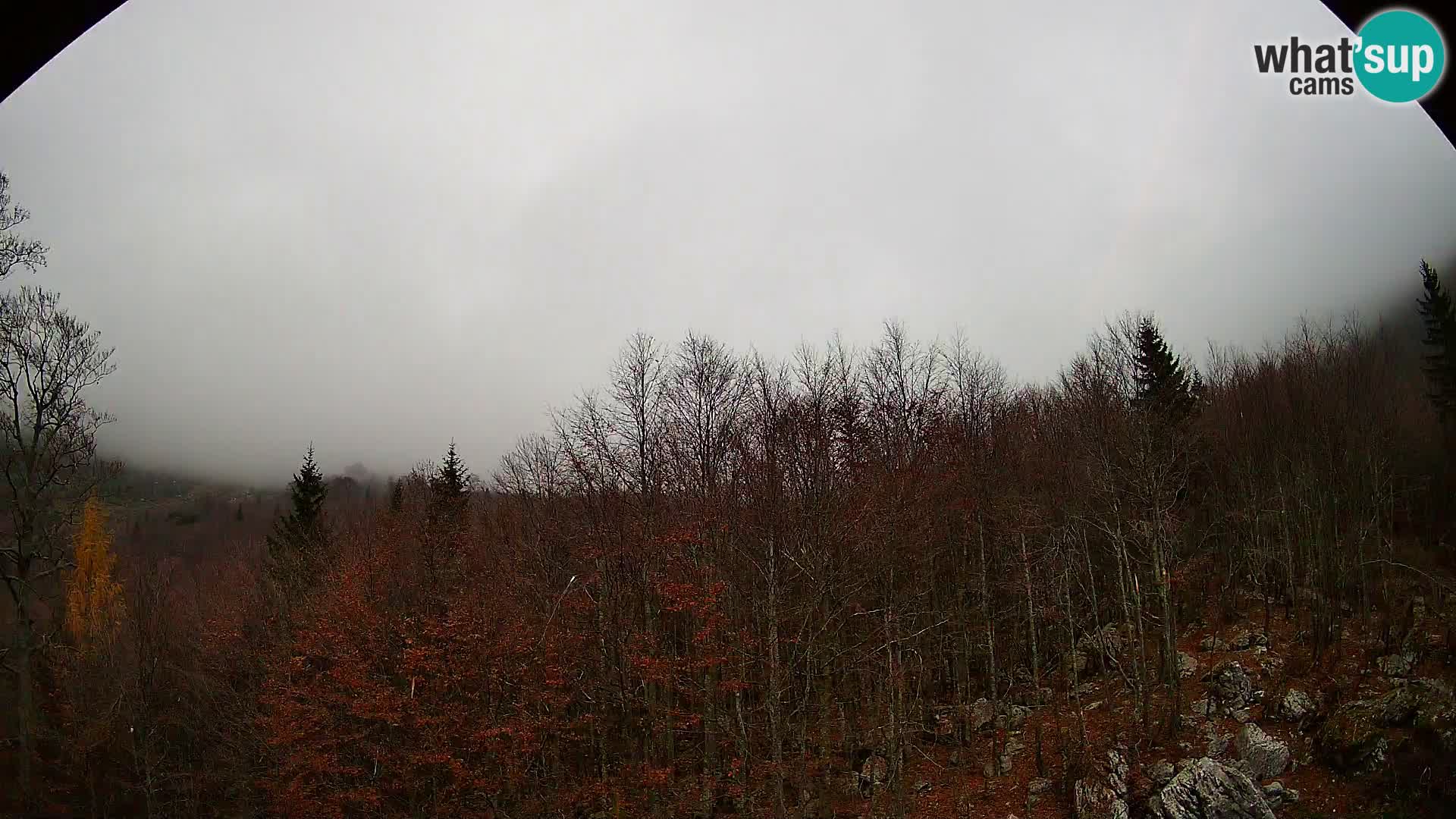 Livecam PLANINA RAZOR (1315) | vue sur Vogel et Globoko