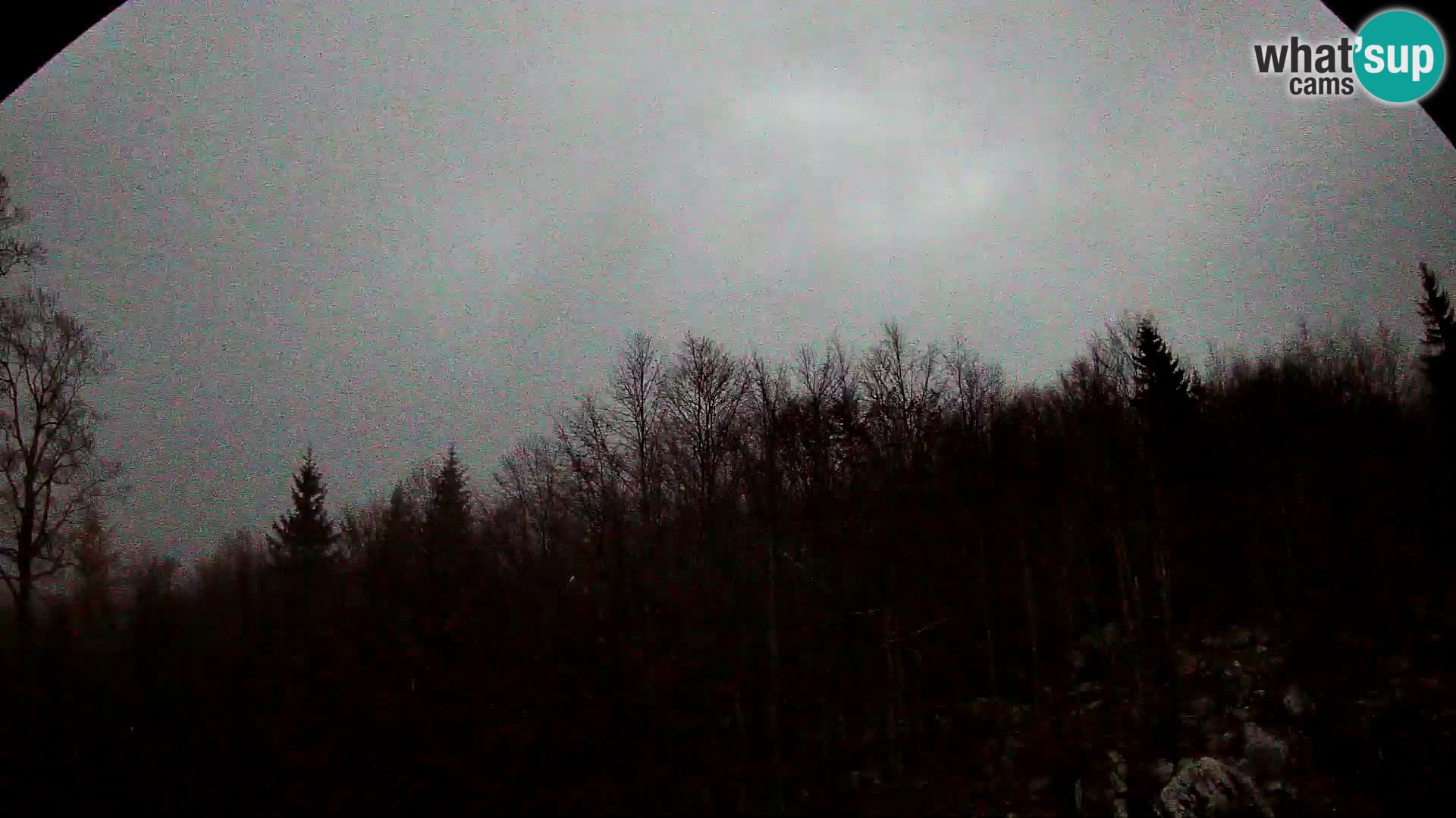 PLANINA RAZOR Live Cam (1315) | vista su Vogel e Globoko