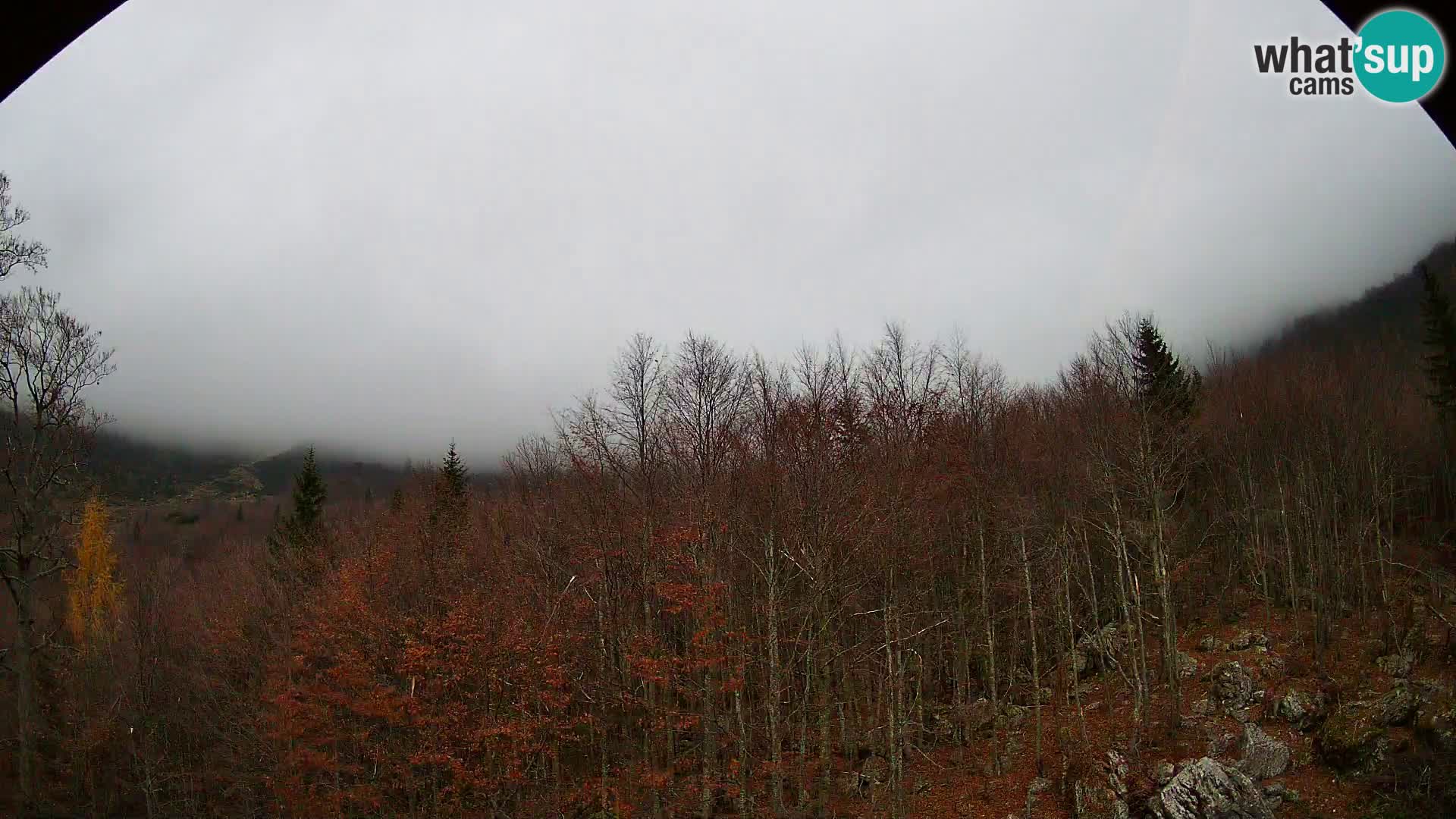 Livecam PLANINA RAZOR (1315) | vue sur Vogel et Globoko