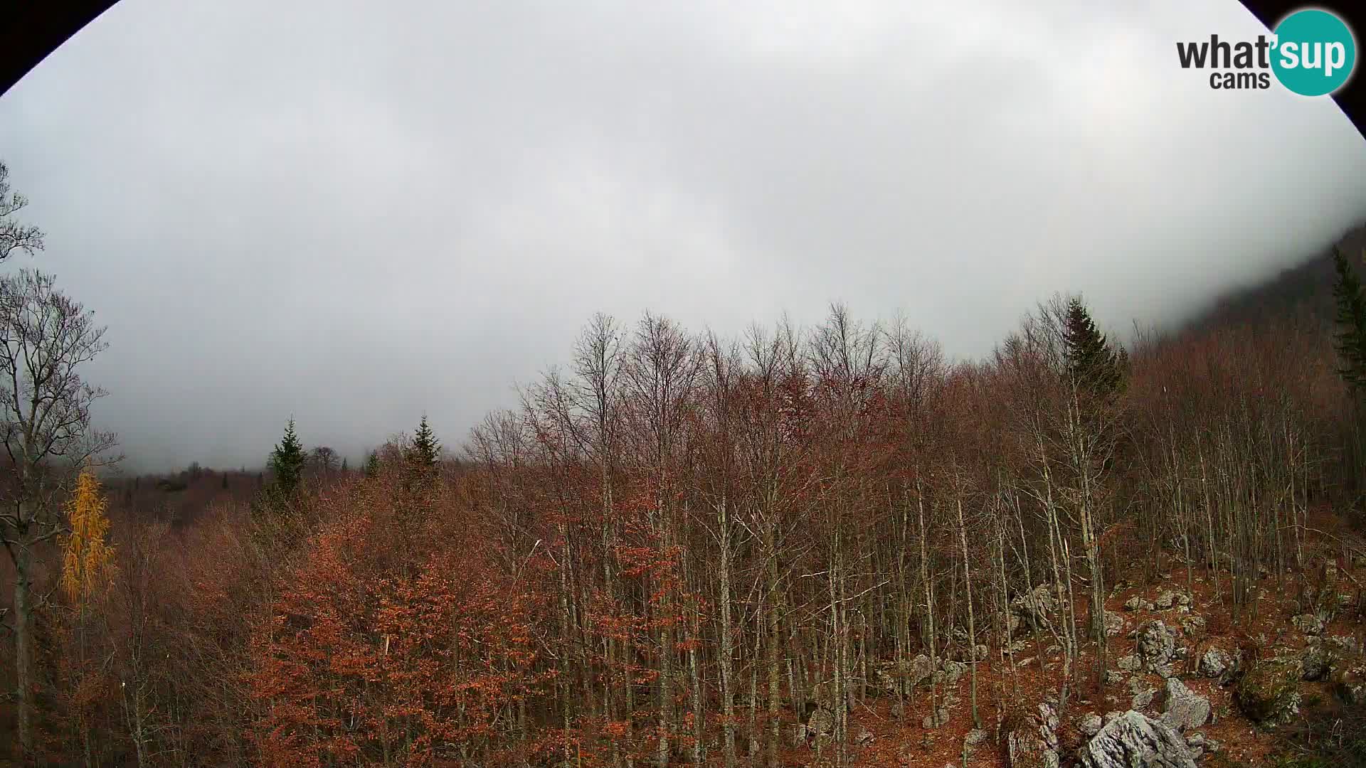 PLANINA RAZOR webcam (1315) | view to Vogel and Globoko