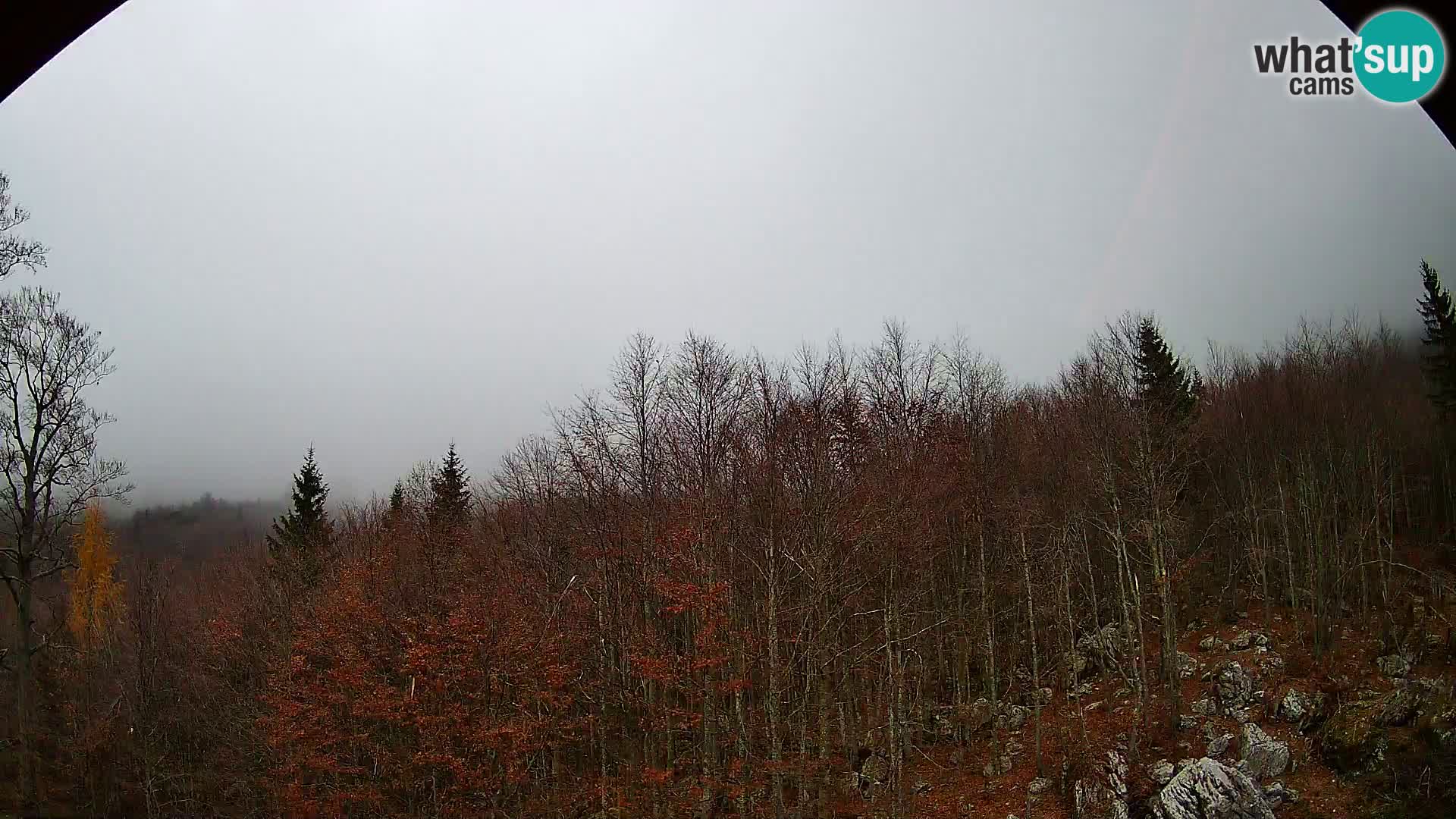 PLANINA RAZOR kamera (1315) | pogled na Vogel in Globoko