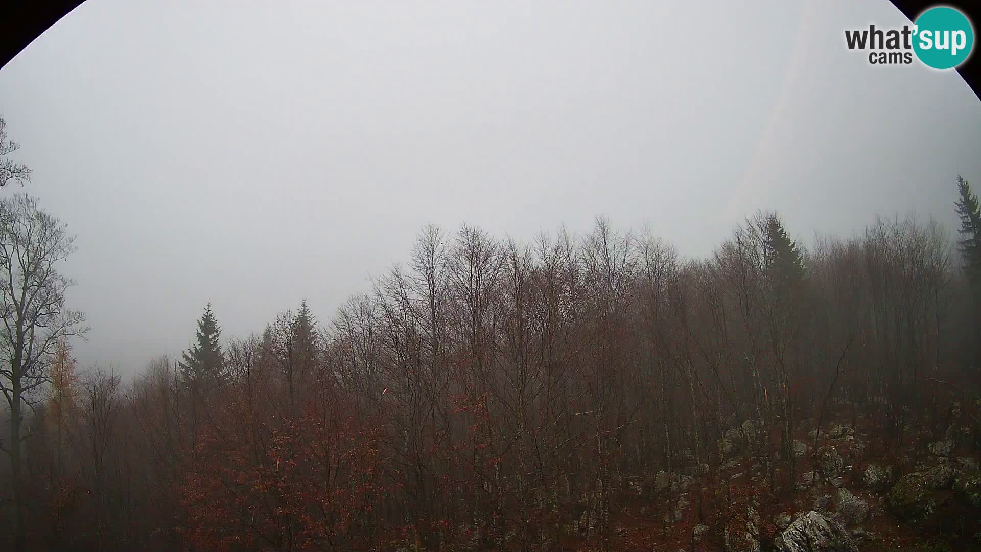 PLANINA RAZOR kamera (1315) | pogled na Vogel in Globoko