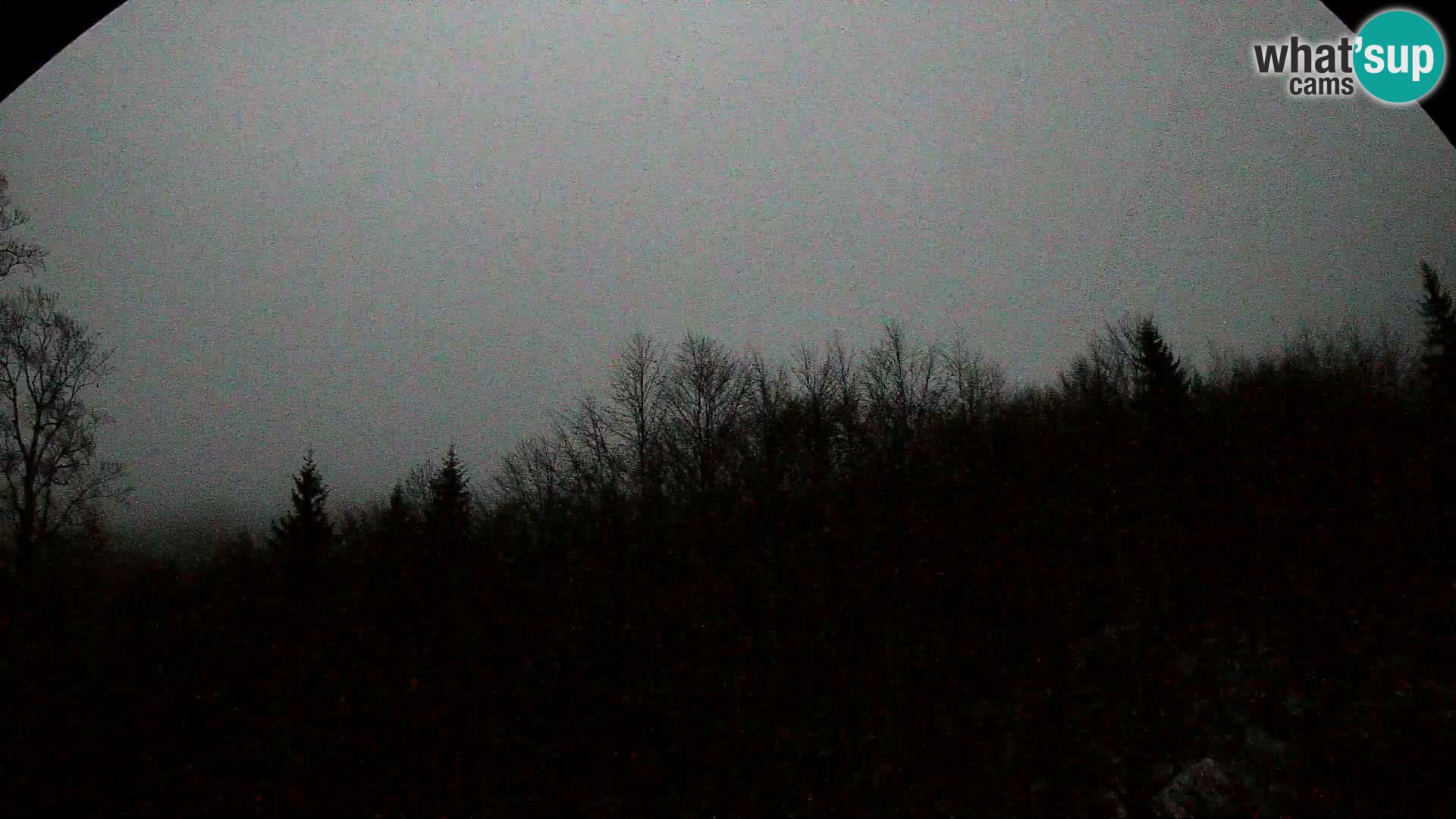 PLANINA RAZOR webcam (1315) | view to Vogel and Globoko