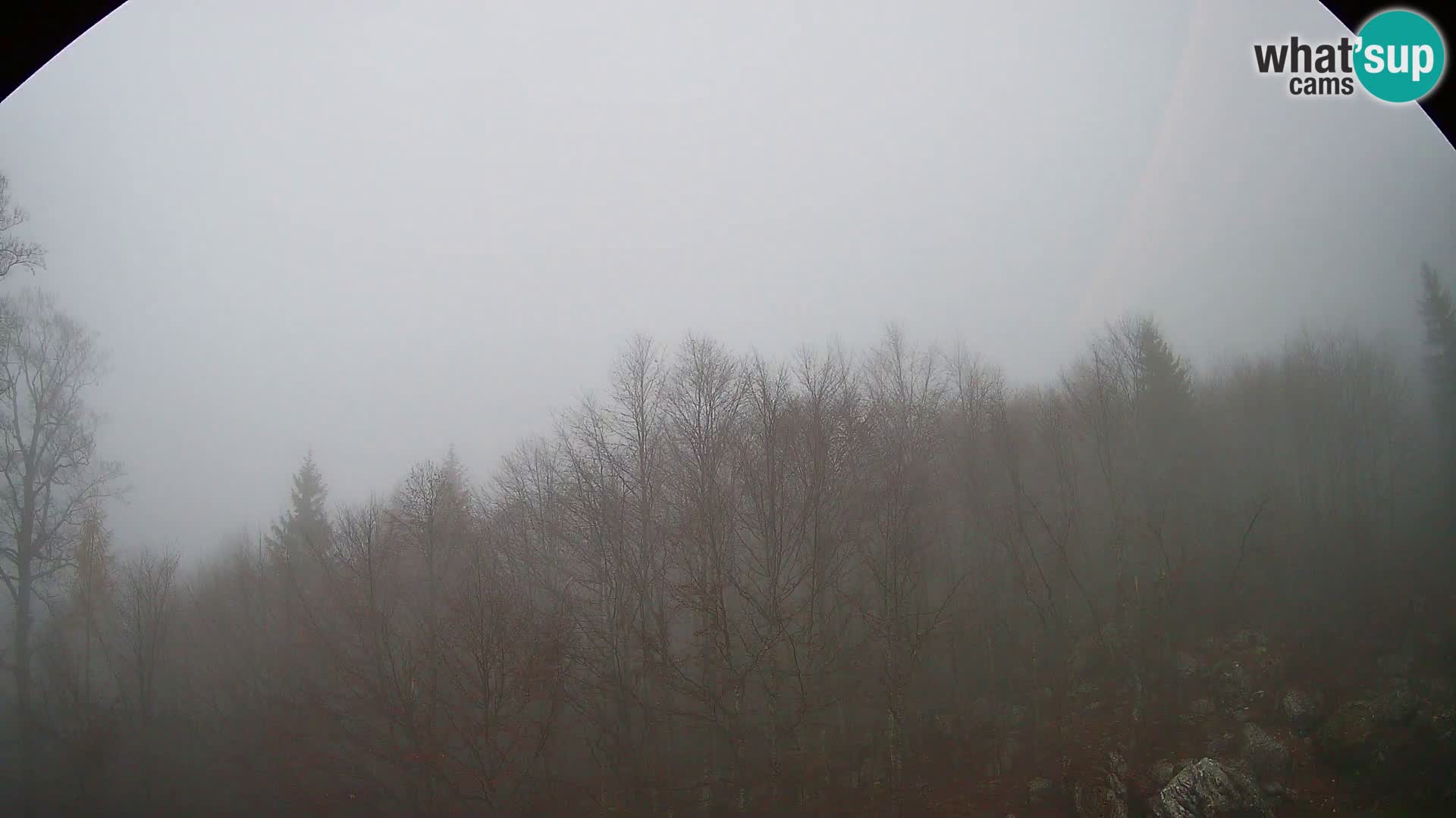 Webcam PLANINA RAZOR (1315) | Blick auf Vogel und Globoko