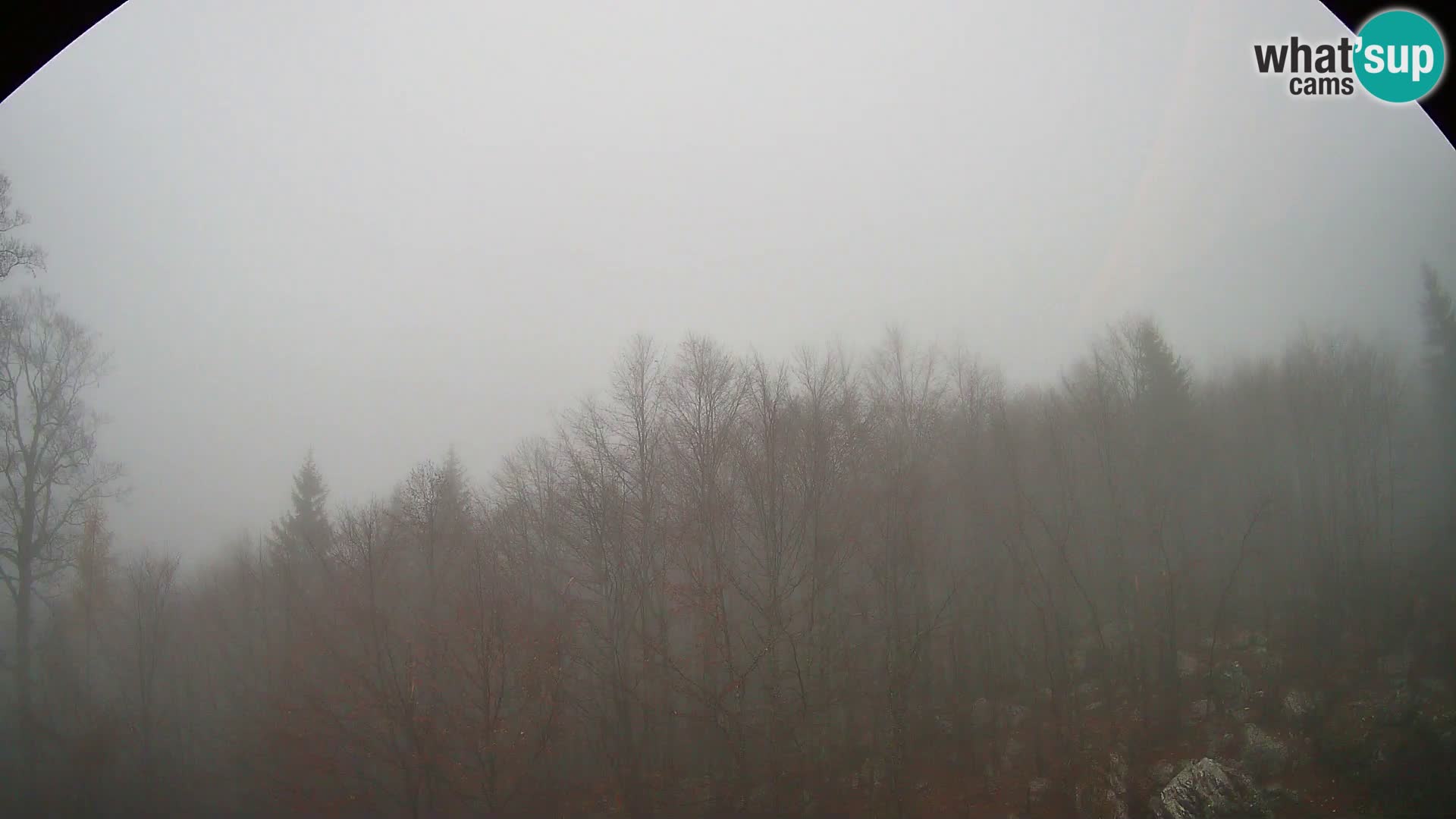 Webcam PLANINA RAZOR (1315) | Blick auf Vogel und Globoko