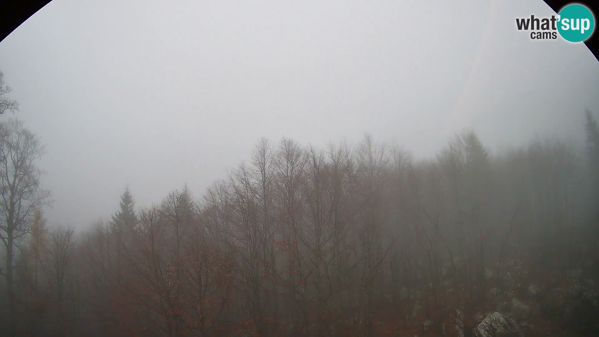 PLANINA RAZOR Live Cam (1315) | vista su Vogel e Globoko