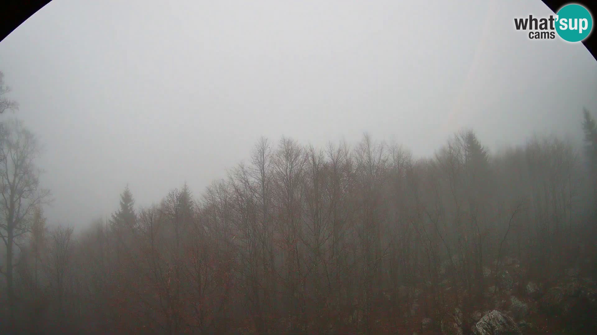 Webcam PLANINA RAZOR (1315) | Blick auf Vogel und Globoko