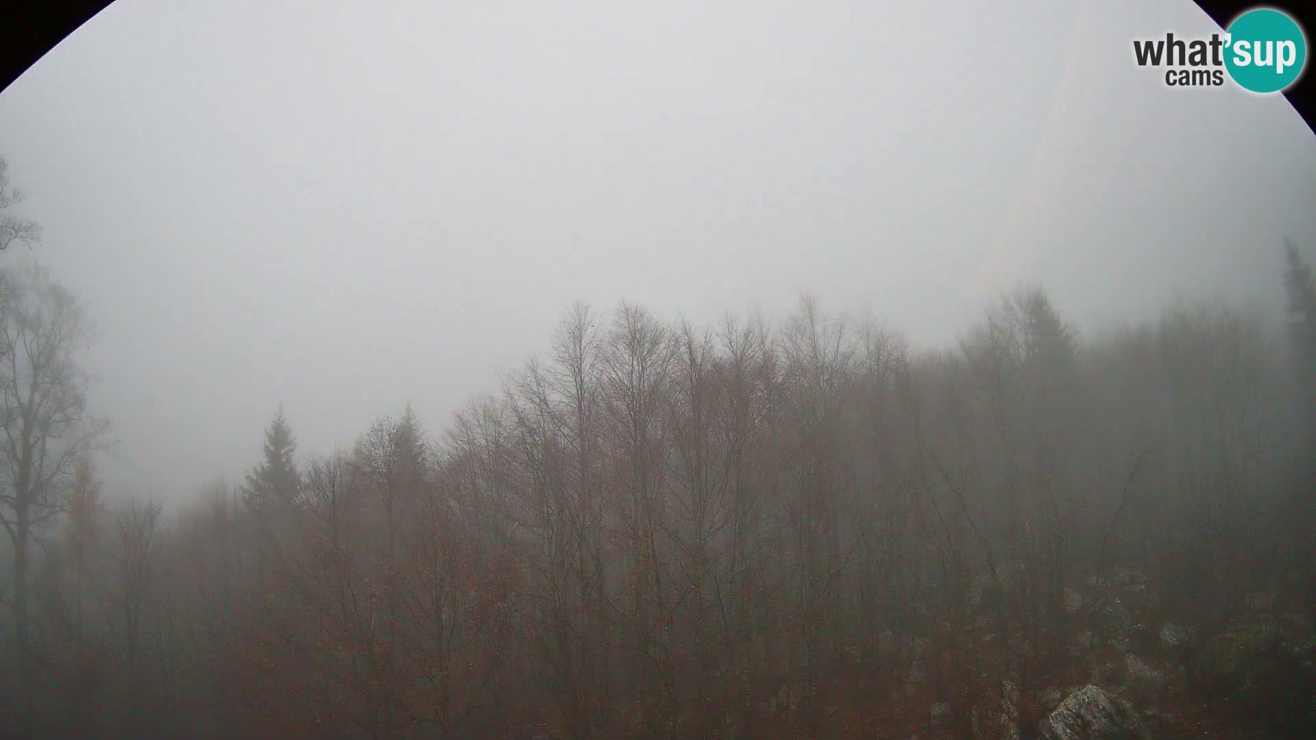 Webcam PLANINA RAZOR (1315) | Blick auf Vogel und Globoko