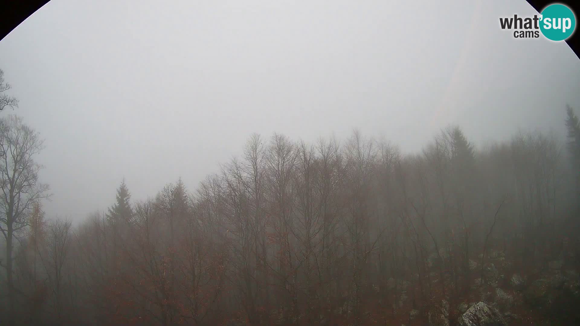 PLANINA RAZOR Live Cam (1315) | vista su Vogel e Globoko