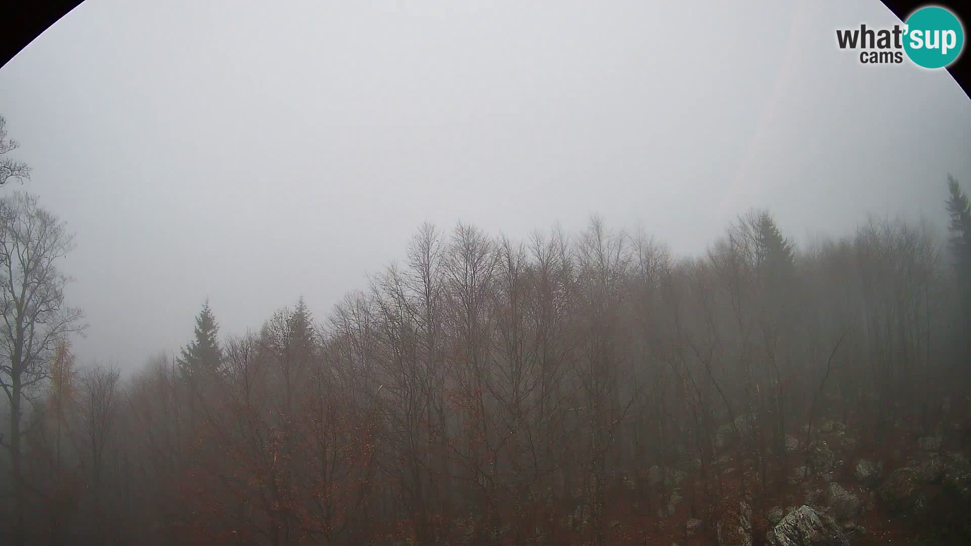 Cámara web PLANINA RAZOR (1315) | vista a Vogel y Globoko