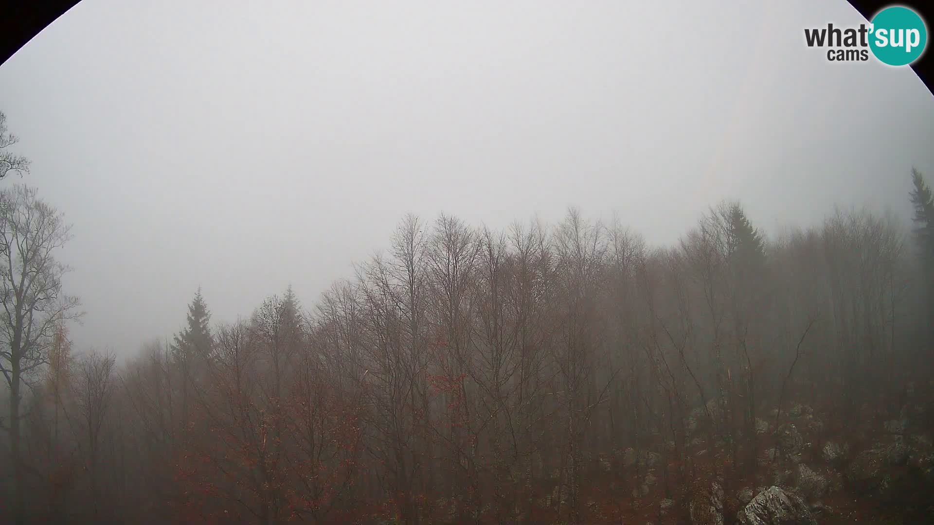 Webcam PLANINA RAZOR (1315) | Blick auf Vogel und Globoko