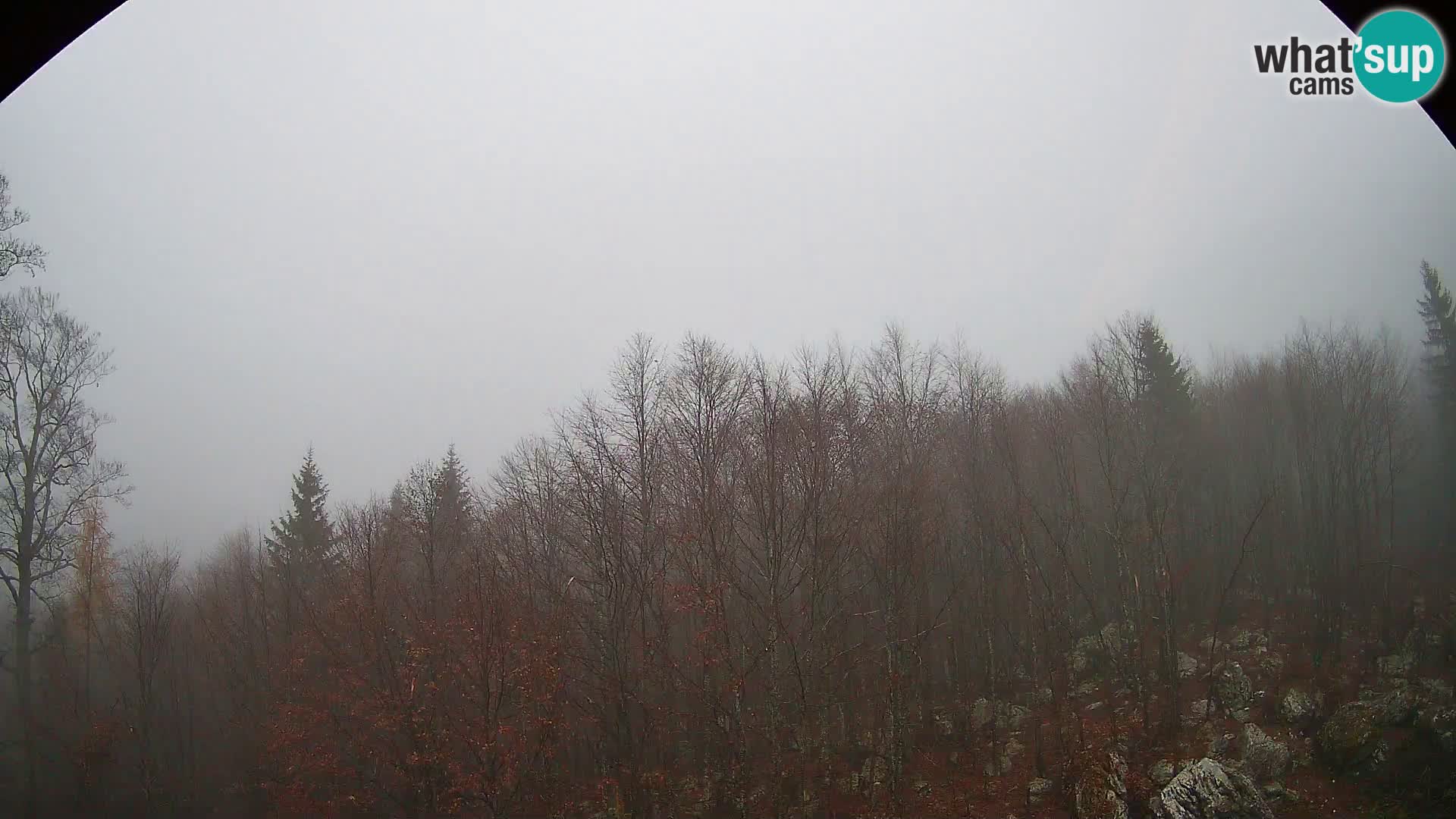 Cámara web PLANINA RAZOR (1315) | vista a Vogel y Globoko