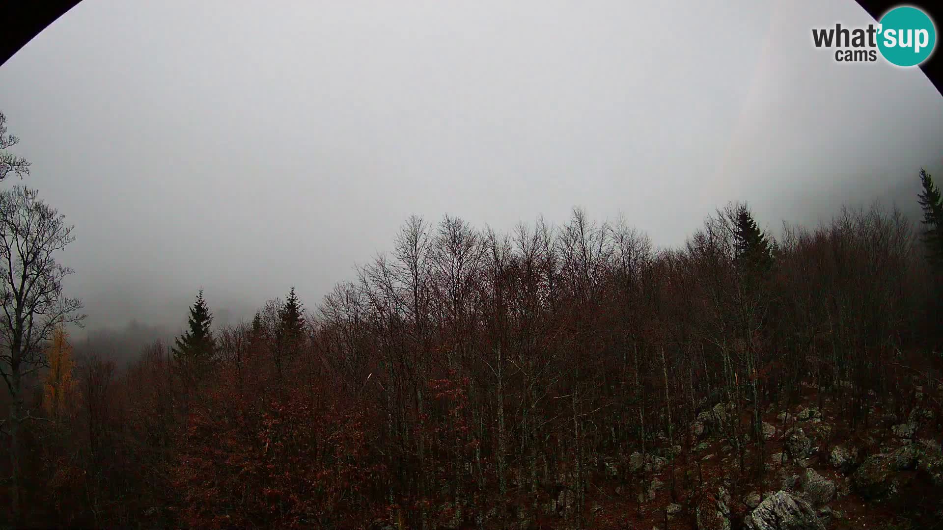 Cámara web PLANINA RAZOR (1315) | vista a Vogel y Globoko