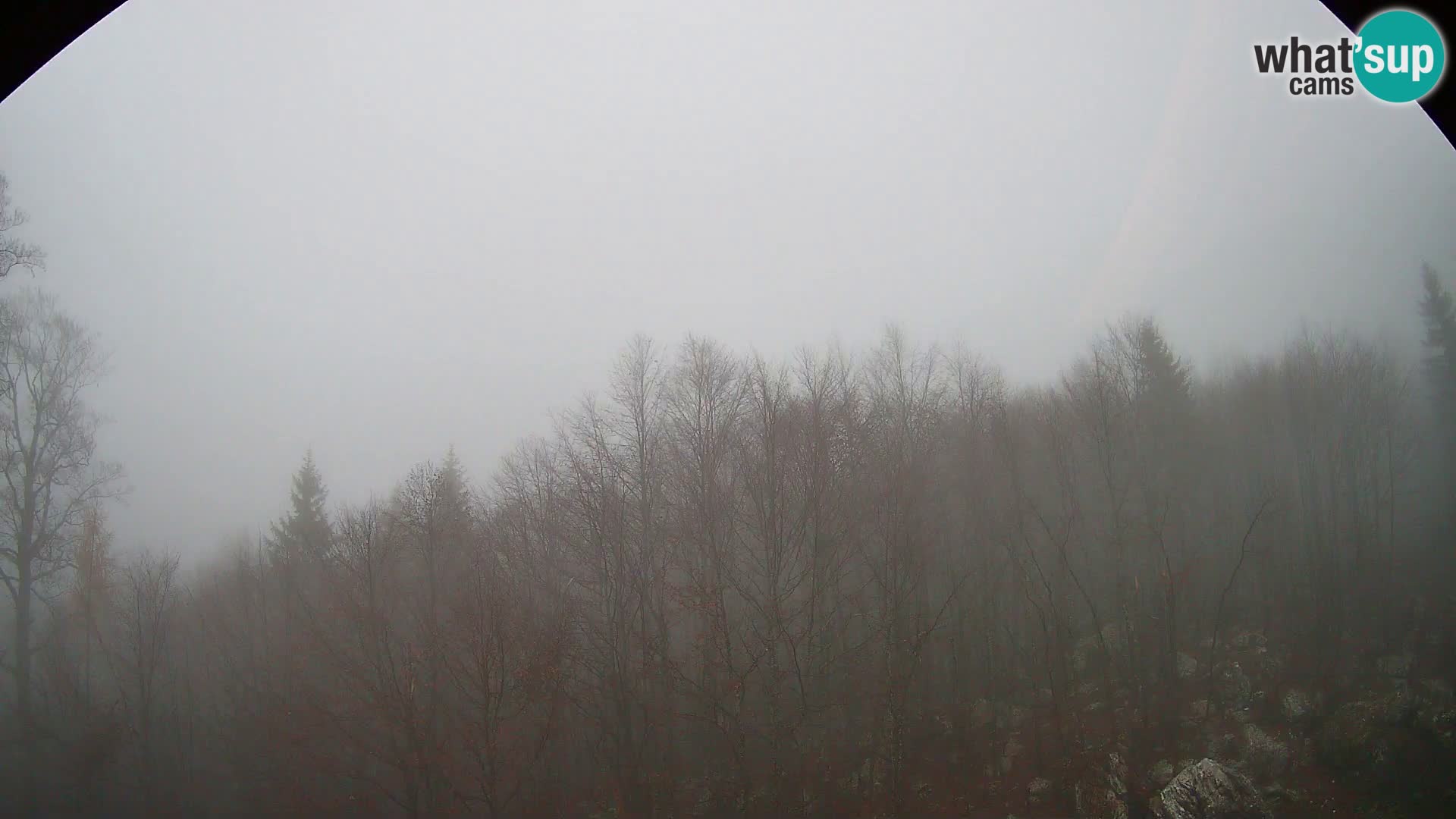 PLANINA RAZOR webcam (1315) | view to Vogel and Globoko