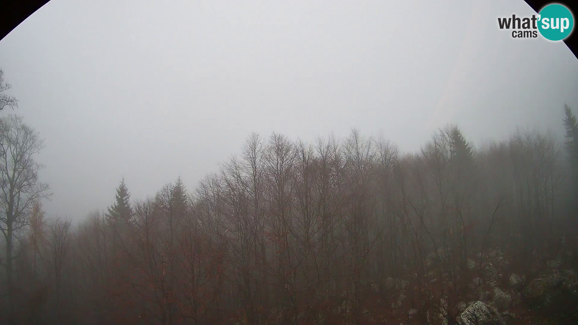 Livecam PLANINA RAZOR (1315) | vue sur Vogel et Globoko