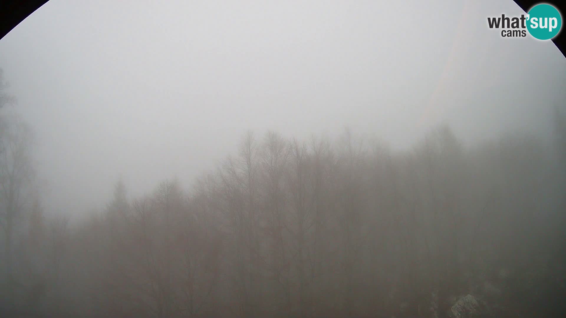 Webcam PLANINA RAZOR (1315) | Blick auf Vogel und Globoko