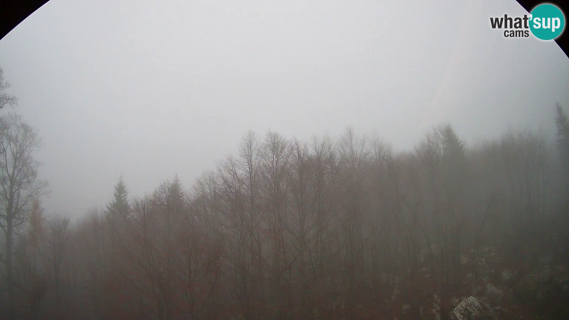 PLANINA RAZOR Live Cam (1315) | vista su Vogel e Globoko