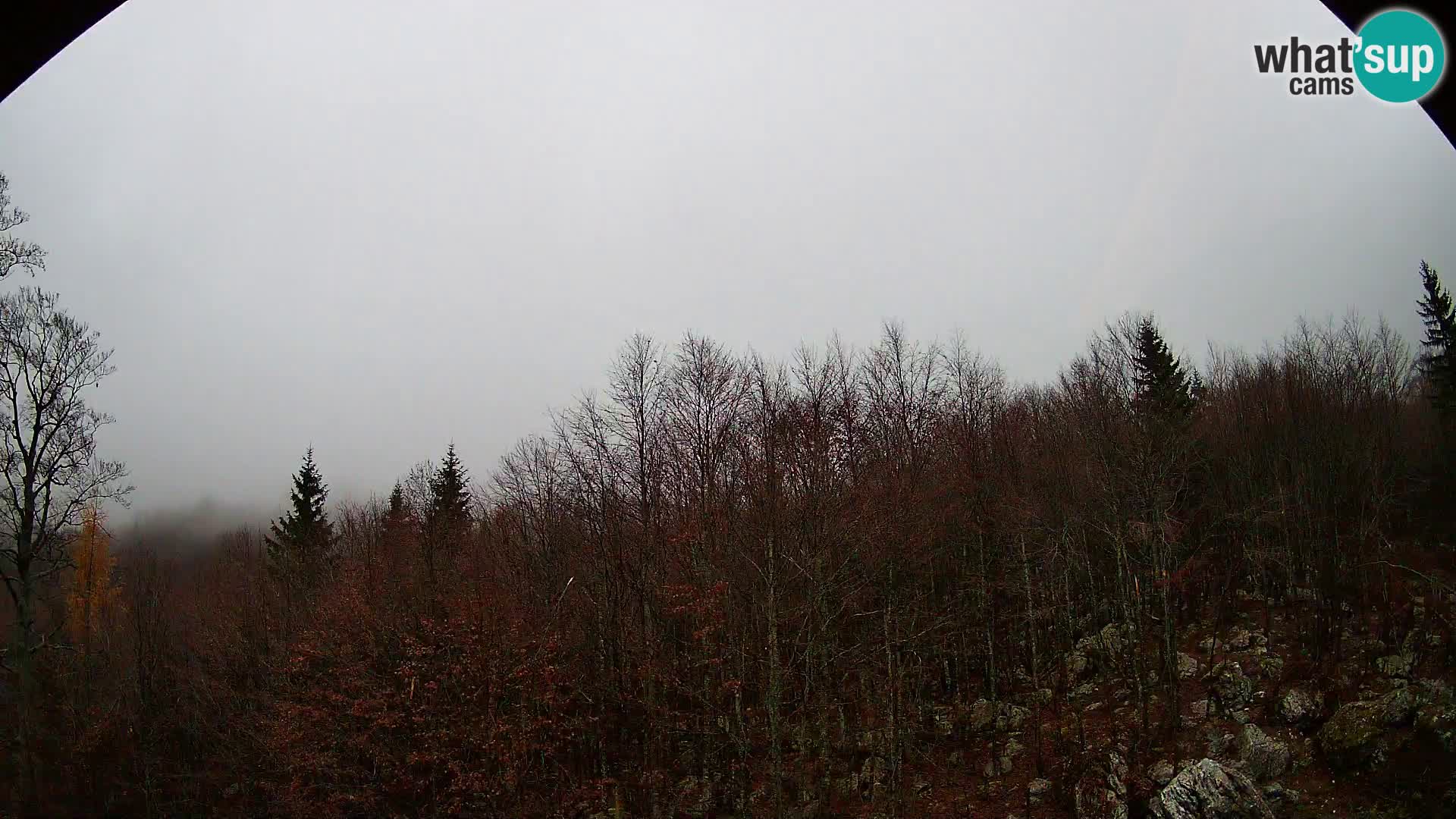 PLANINA RAZOR kamera (1315) | pogled na Vogel in Globoko