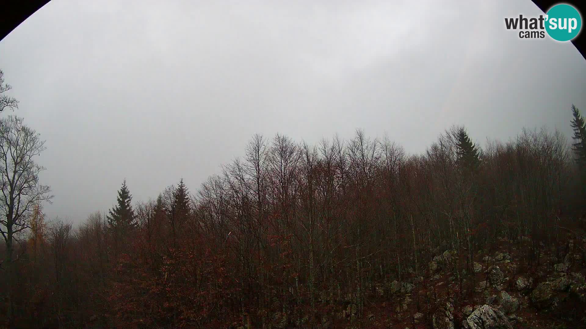 PLANINA RAZOR webcam (1315) | view to Vogel and Globoko