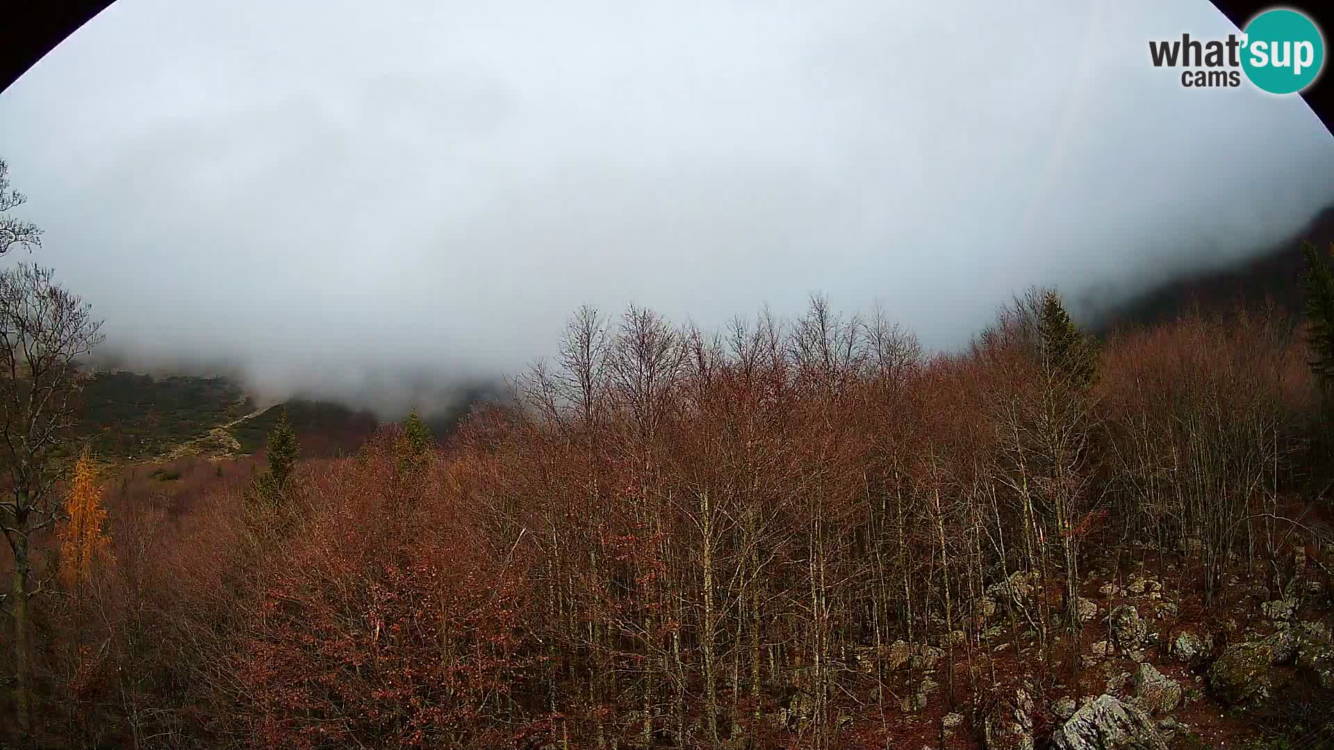 Cámara web PLANINA RAZOR (1315) | vista a Vogel y Globoko