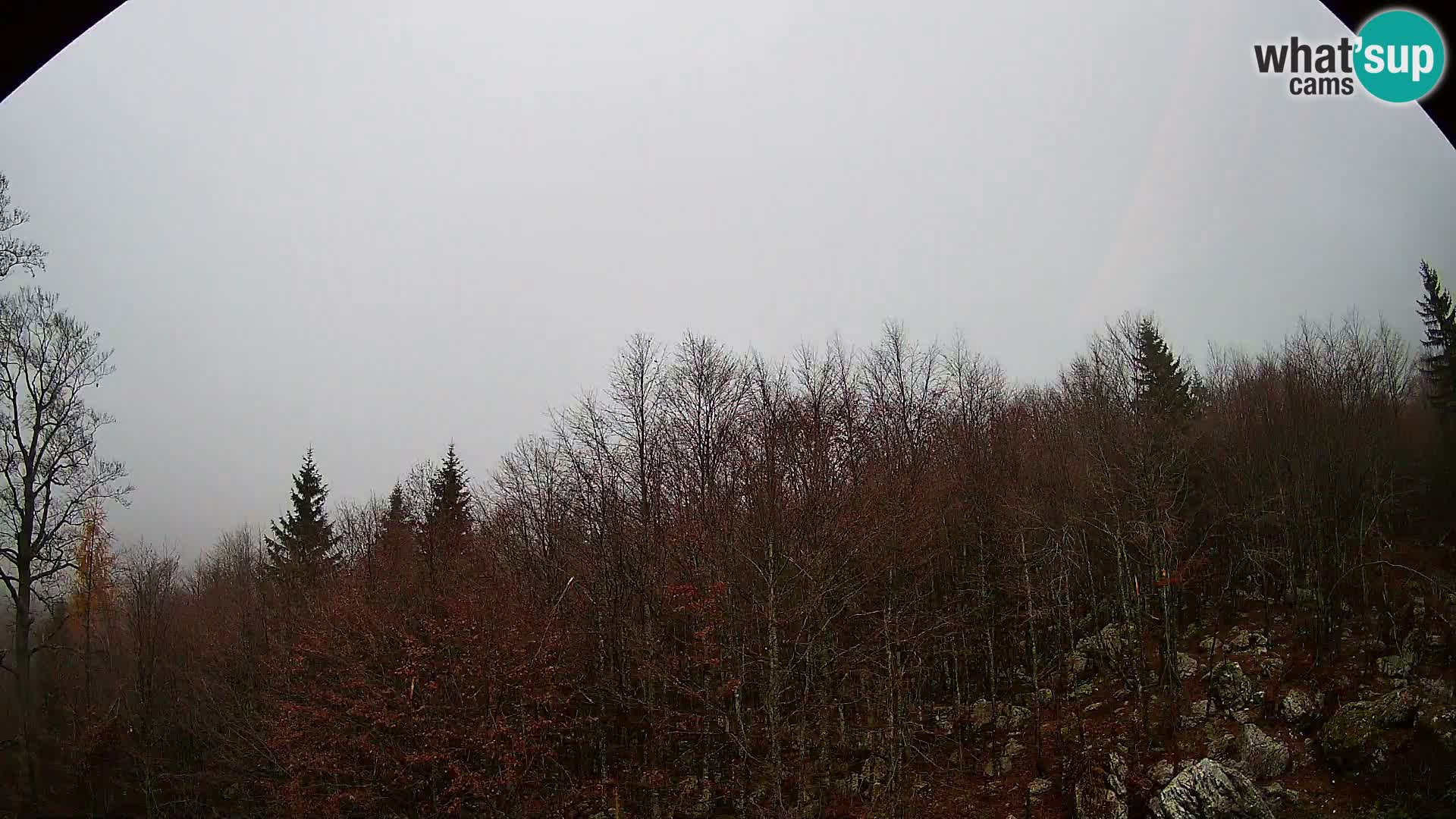 Webcam PLANINA RAZOR (1315) | Blick auf Vogel und Globoko