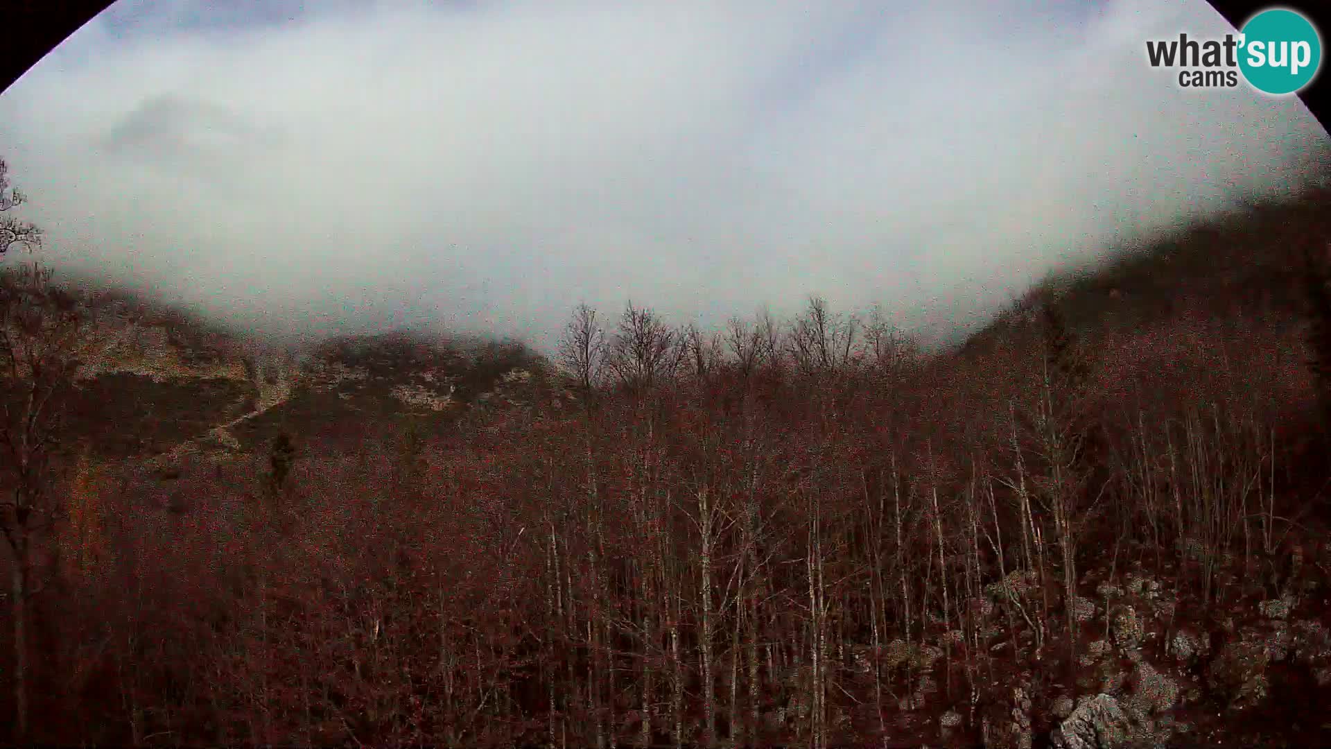 Webcam PLANINA RAZOR (1315) | Blick auf Vogel und Globoko