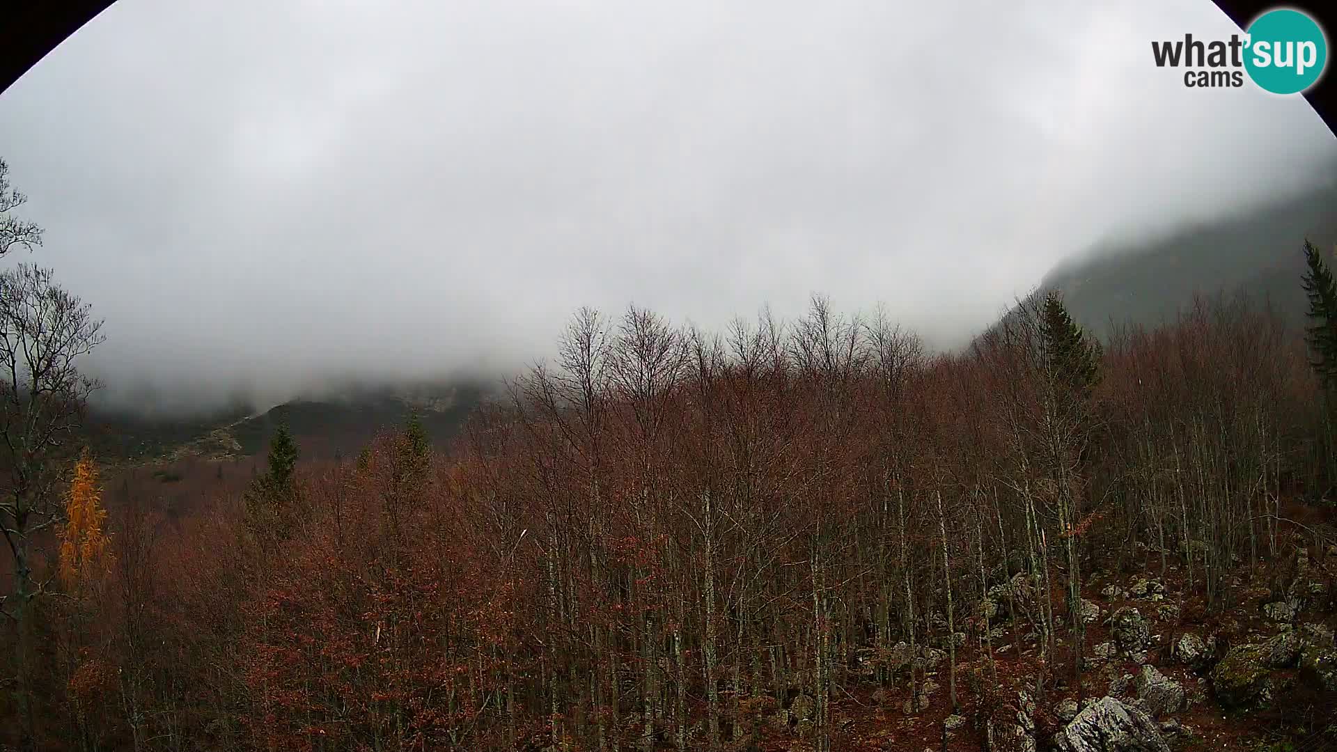 PLANINA RAZOR Live Cam (1315) | vista su Vogel e Globoko