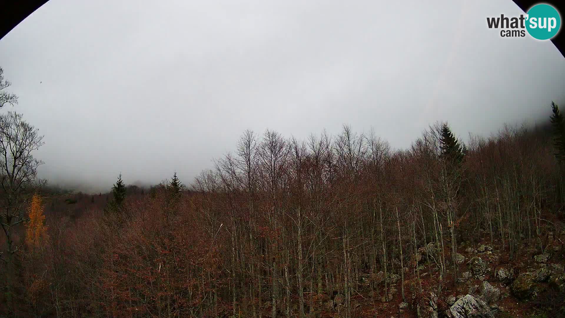 Livecam PLANINA RAZOR (1315) | vue sur Vogel et Globoko