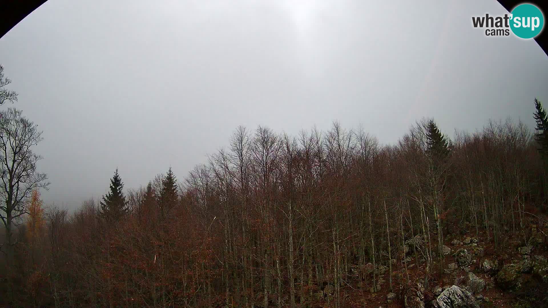 PLANINA RAZOR kamera (1315) | pogled na Vogel in Globoko