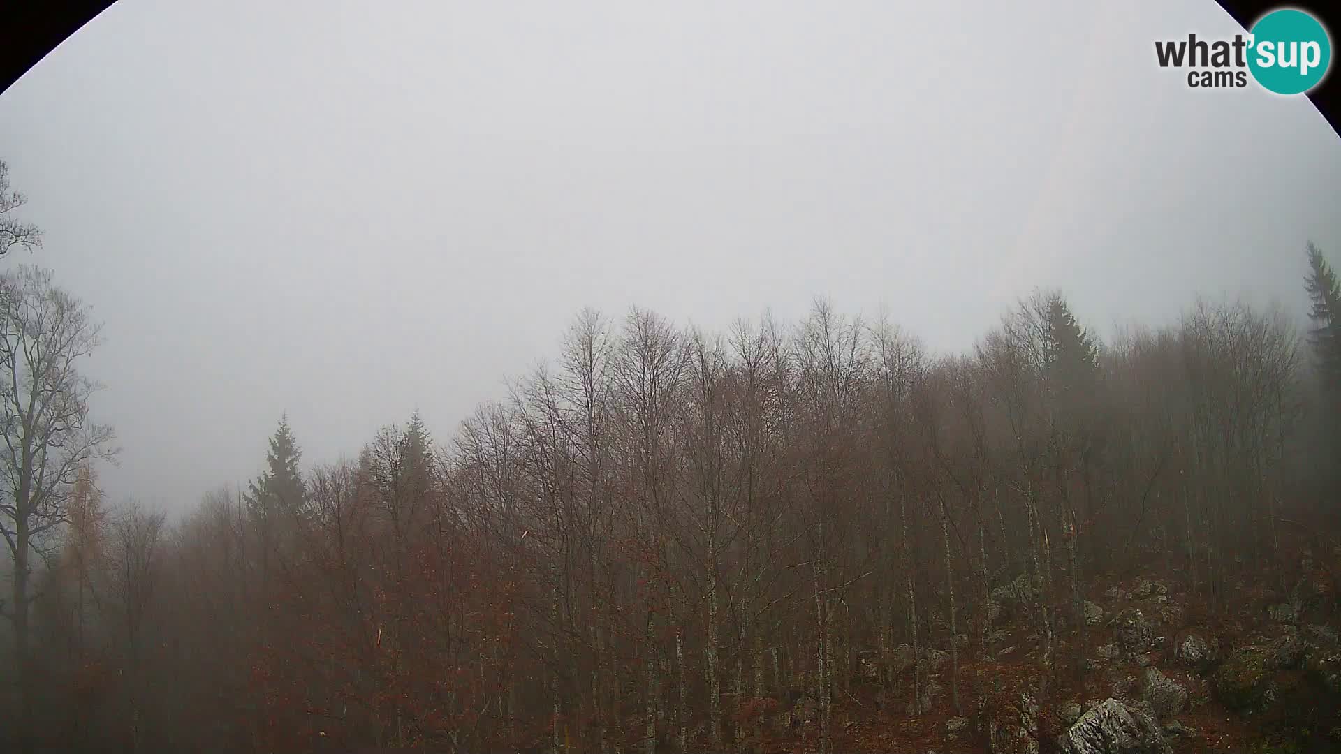 Cámara web PLANINA RAZOR (1315) | vista a Vogel y Globoko