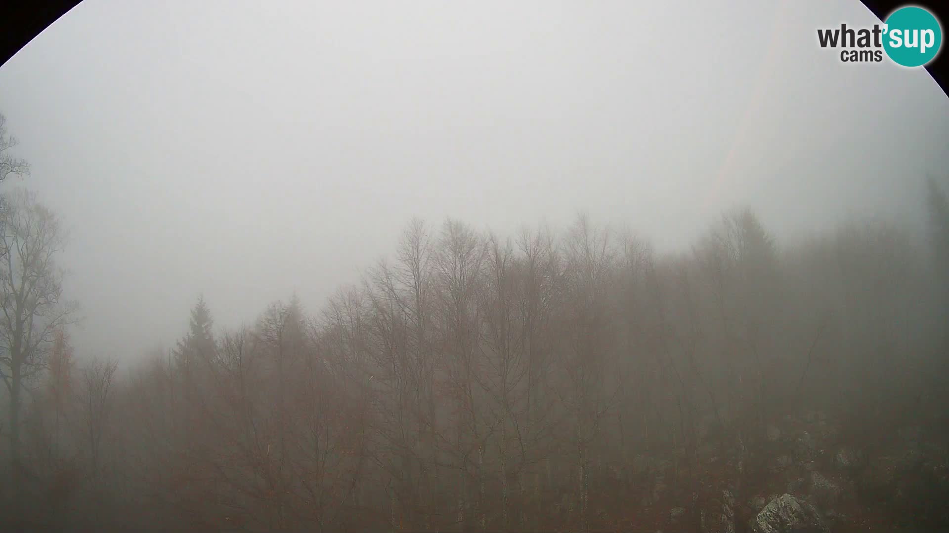 PLANINA RAZOR Live Cam (1315) | vista su Vogel e Globoko