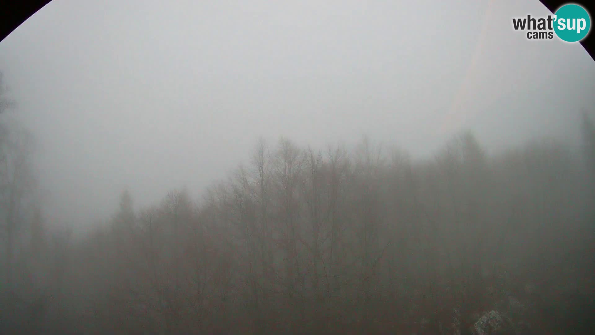 PLANINA RAZOR web kamera (1315) | pogled na Vogel i Globoko