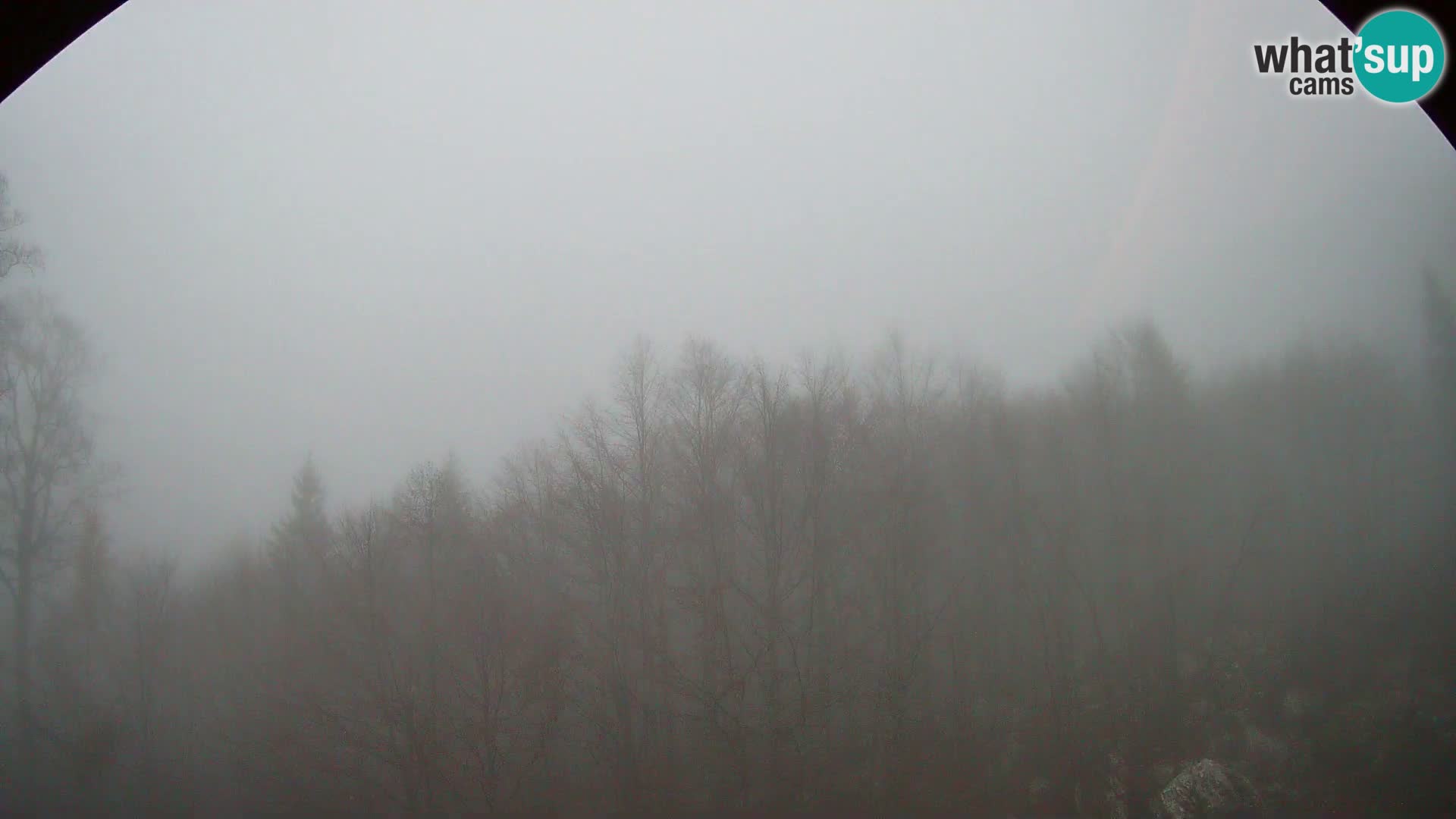 PLANINA RAZOR kamera (1315) | pogled na Vogel in Globoko