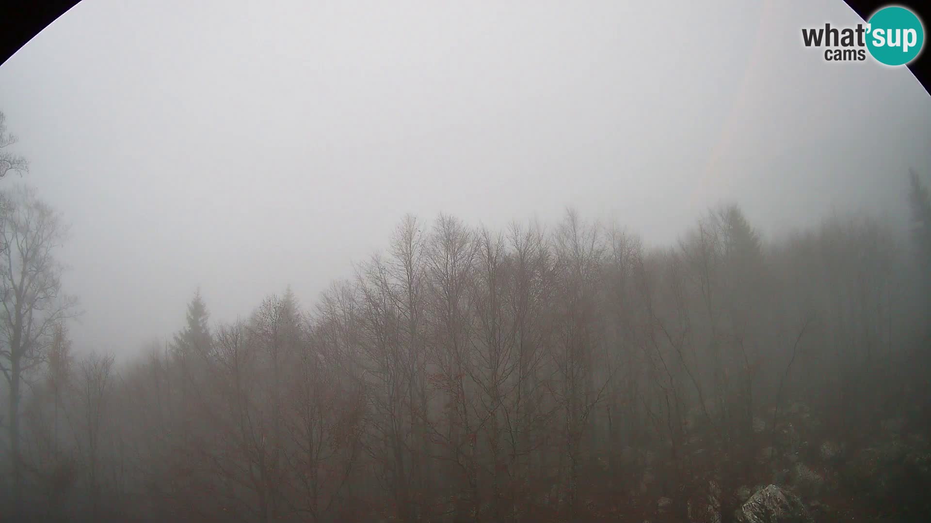 PLANINA RAZOR Live Cam (1315) | vista su Vogel e Globoko