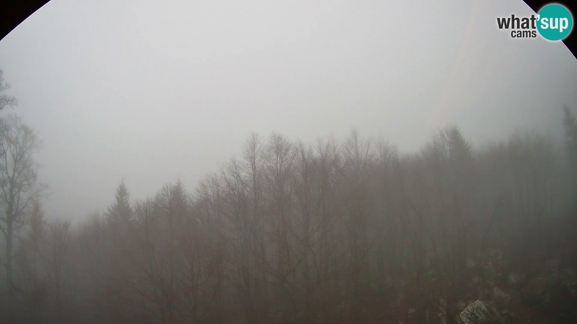 Cámara web PLANINA RAZOR (1315) | vista a Vogel y Globoko