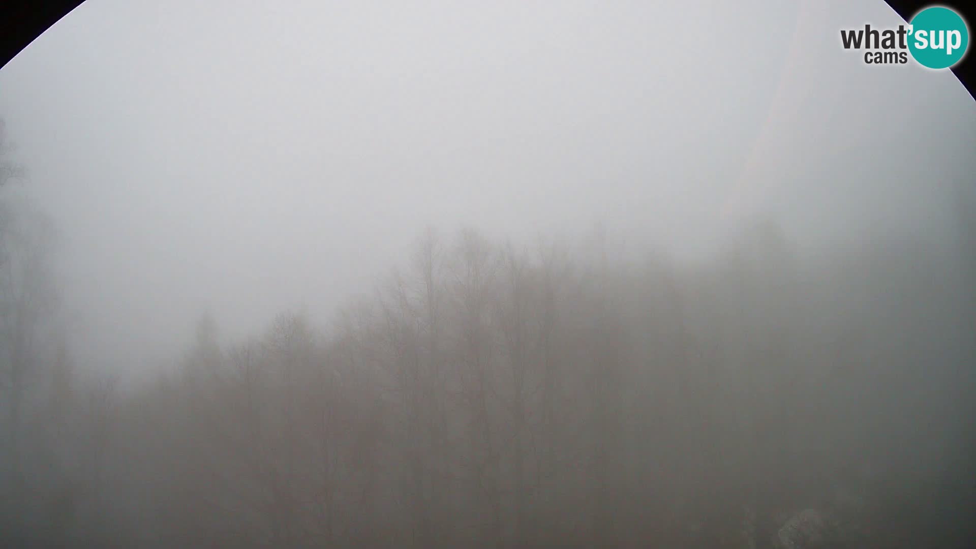 Livecam PLANINA RAZOR (1315) | vue sur Vogel et Globoko