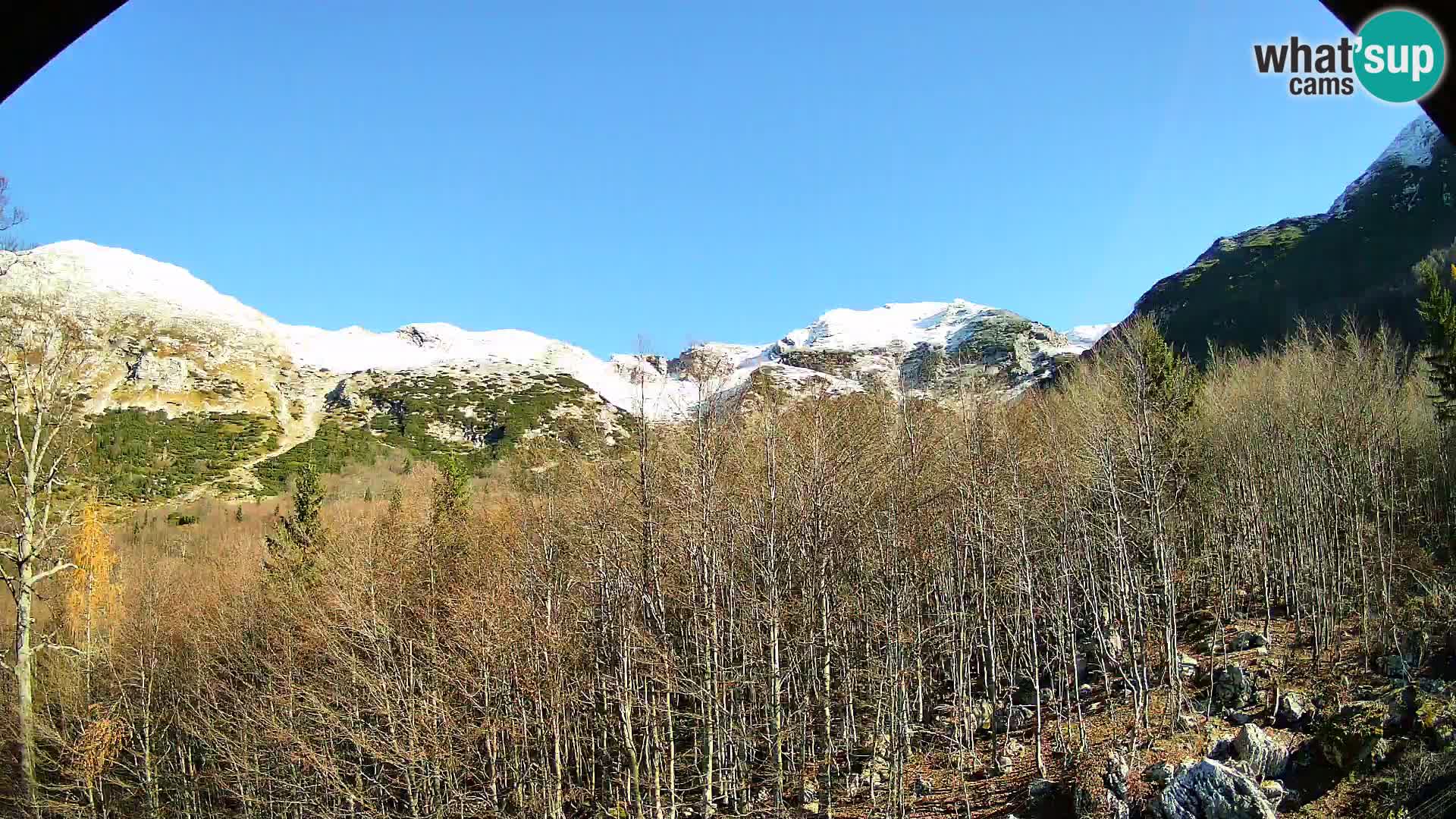 PLANINA RAZOR webcam (1315) | view to Vogel and Globoko