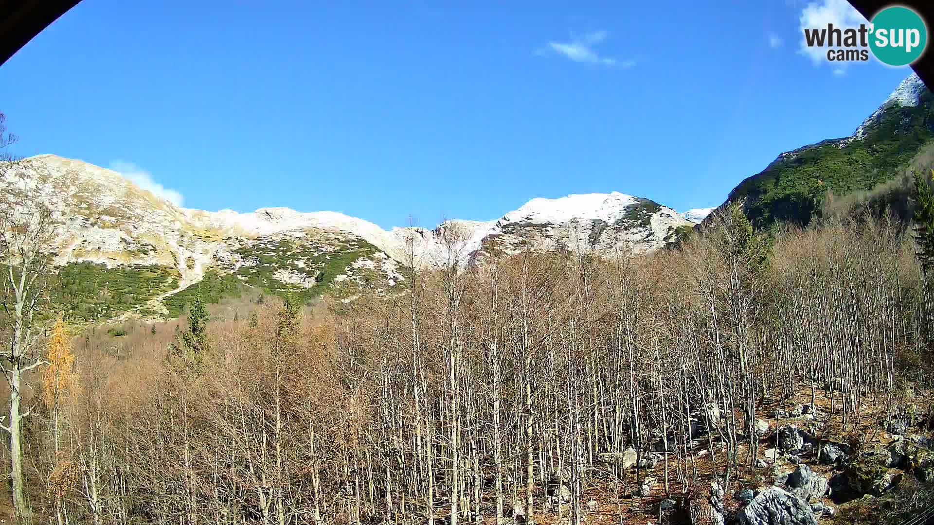 PLANINA RAZOR web kamera (1315) | pogled na Vogel i Globoko